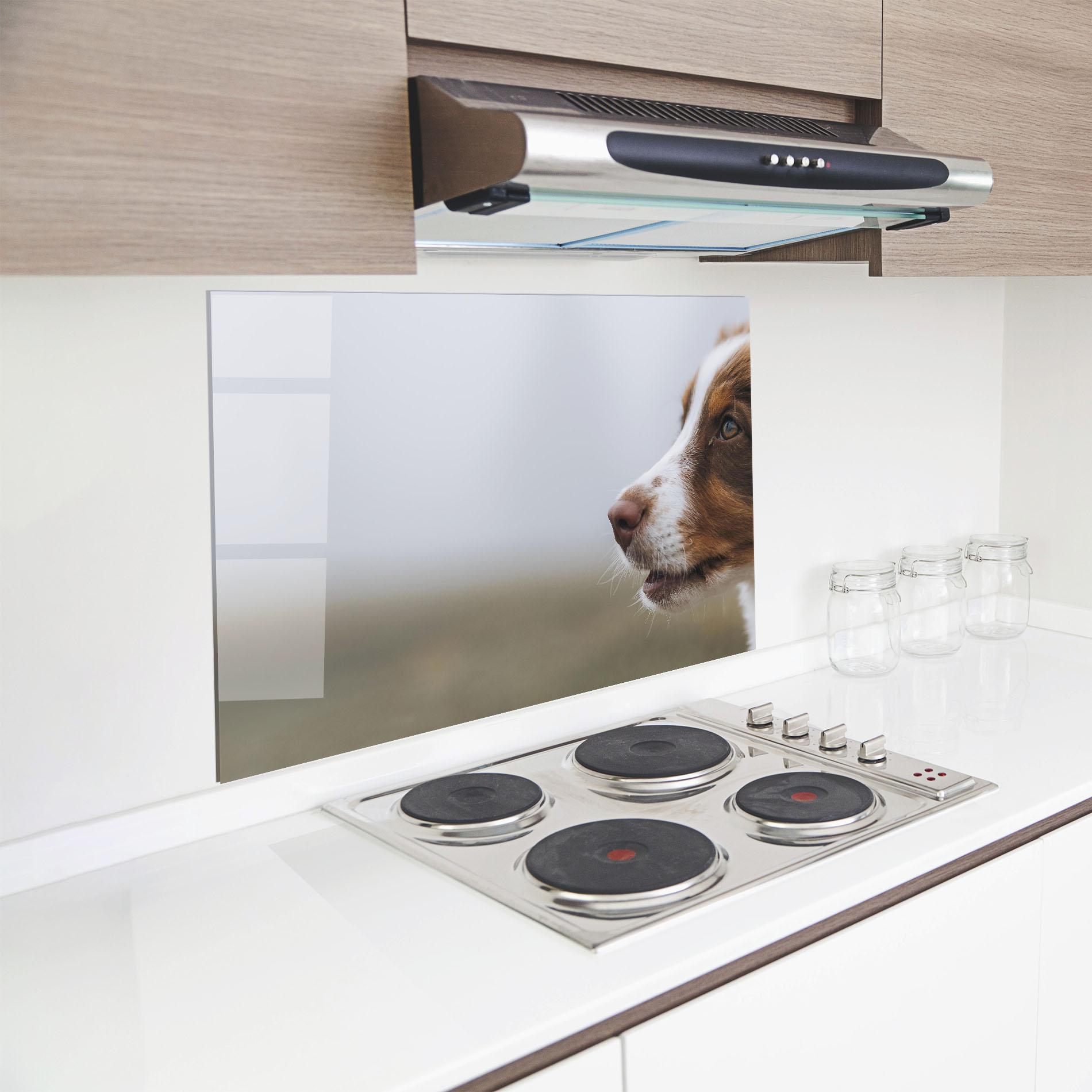 Küchenrückwand Glas Brown White Dog mockup 8