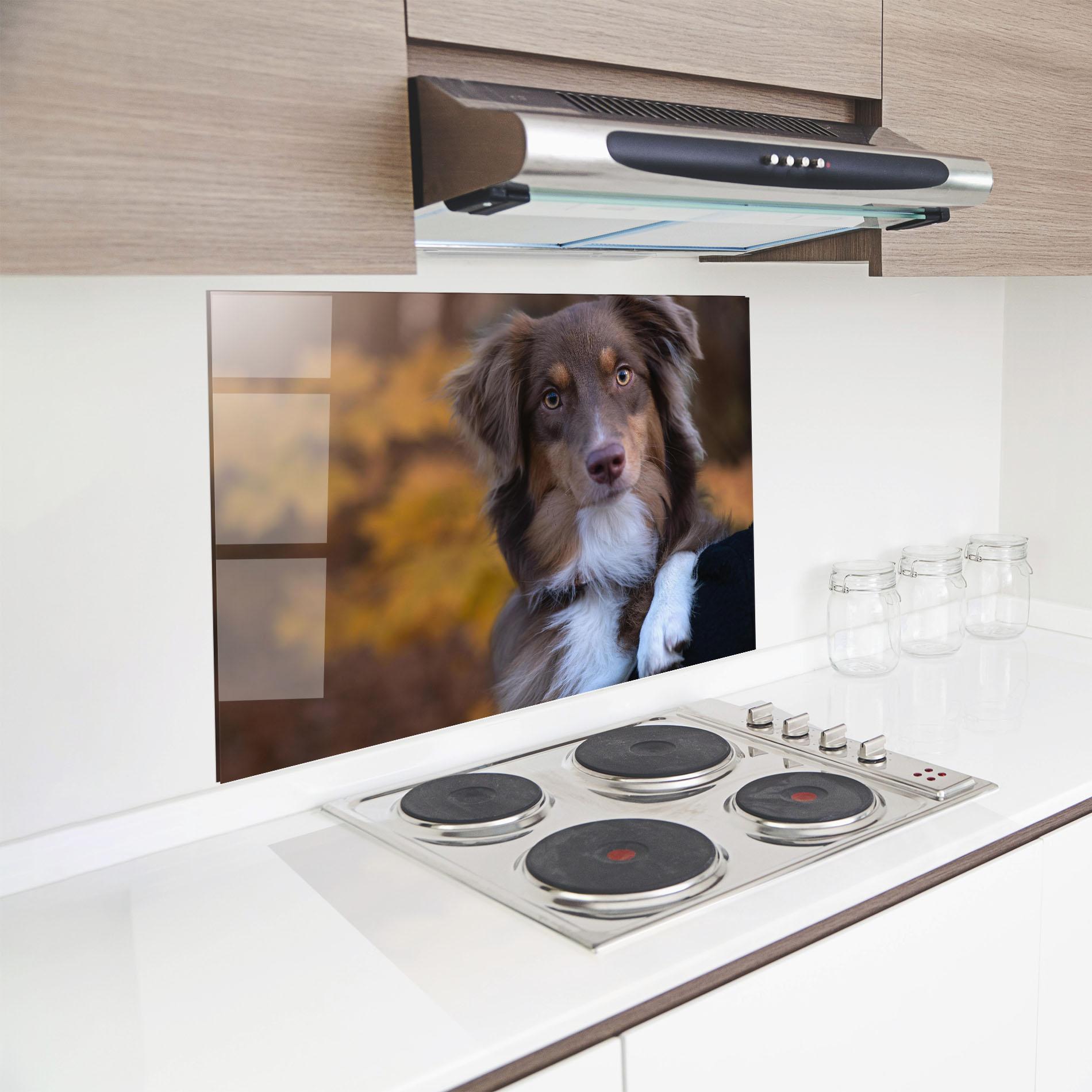 Küchenrückwand Glas Coffee Brown Dog mockup 8