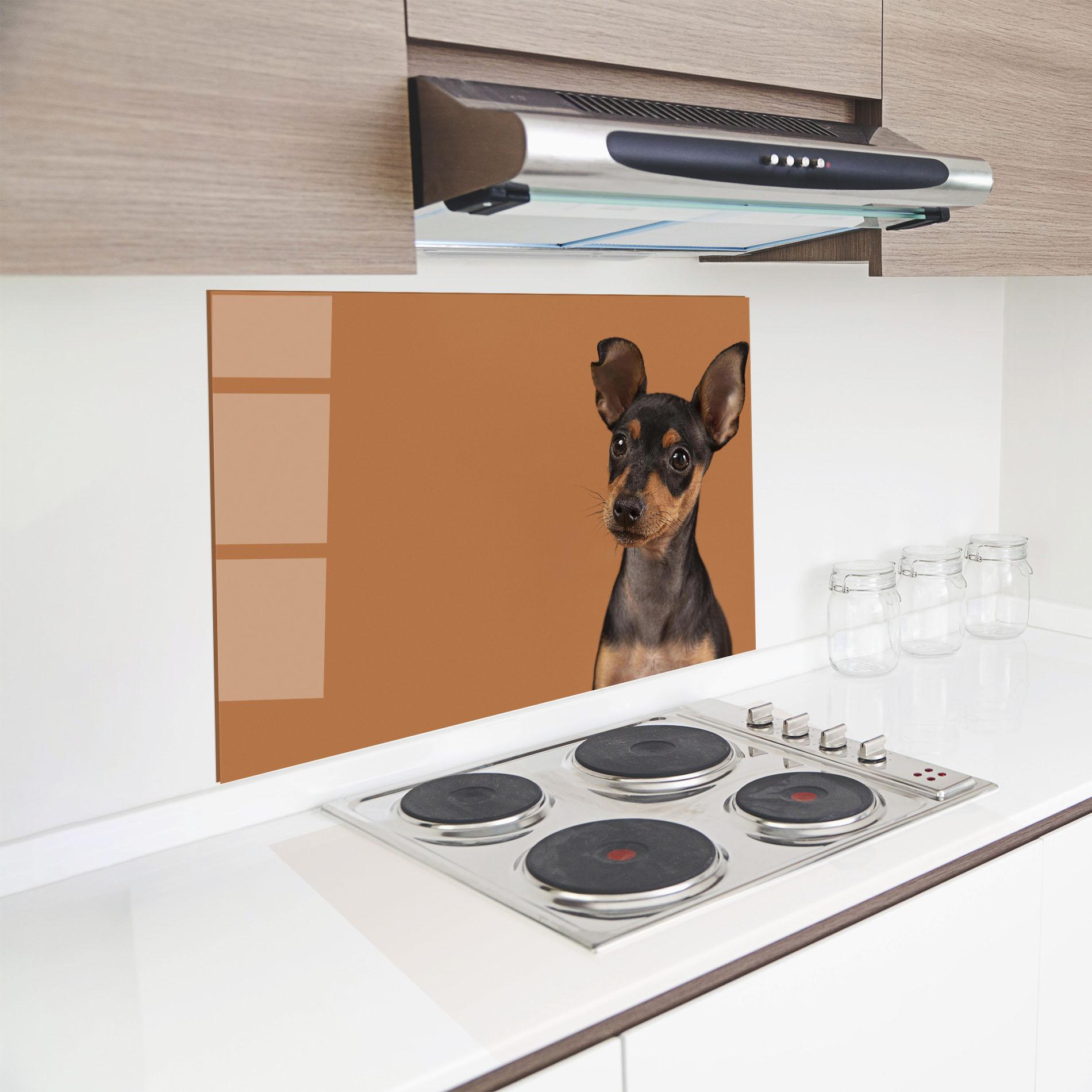 Küchenrückwand Glas Cute Dog Portrait mockup 8