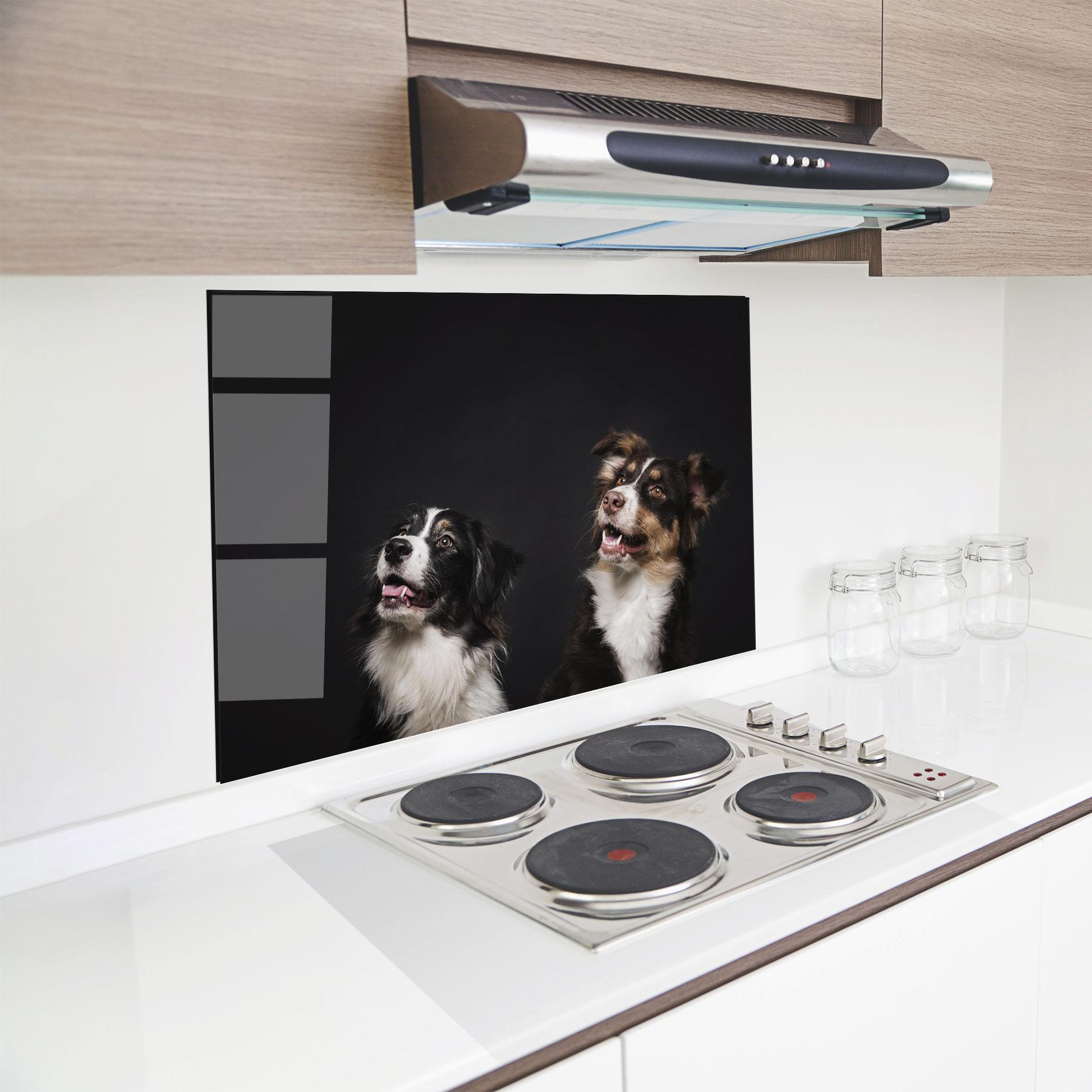 Küchenrückwand Glas Cute Dogs Standing mockup 8