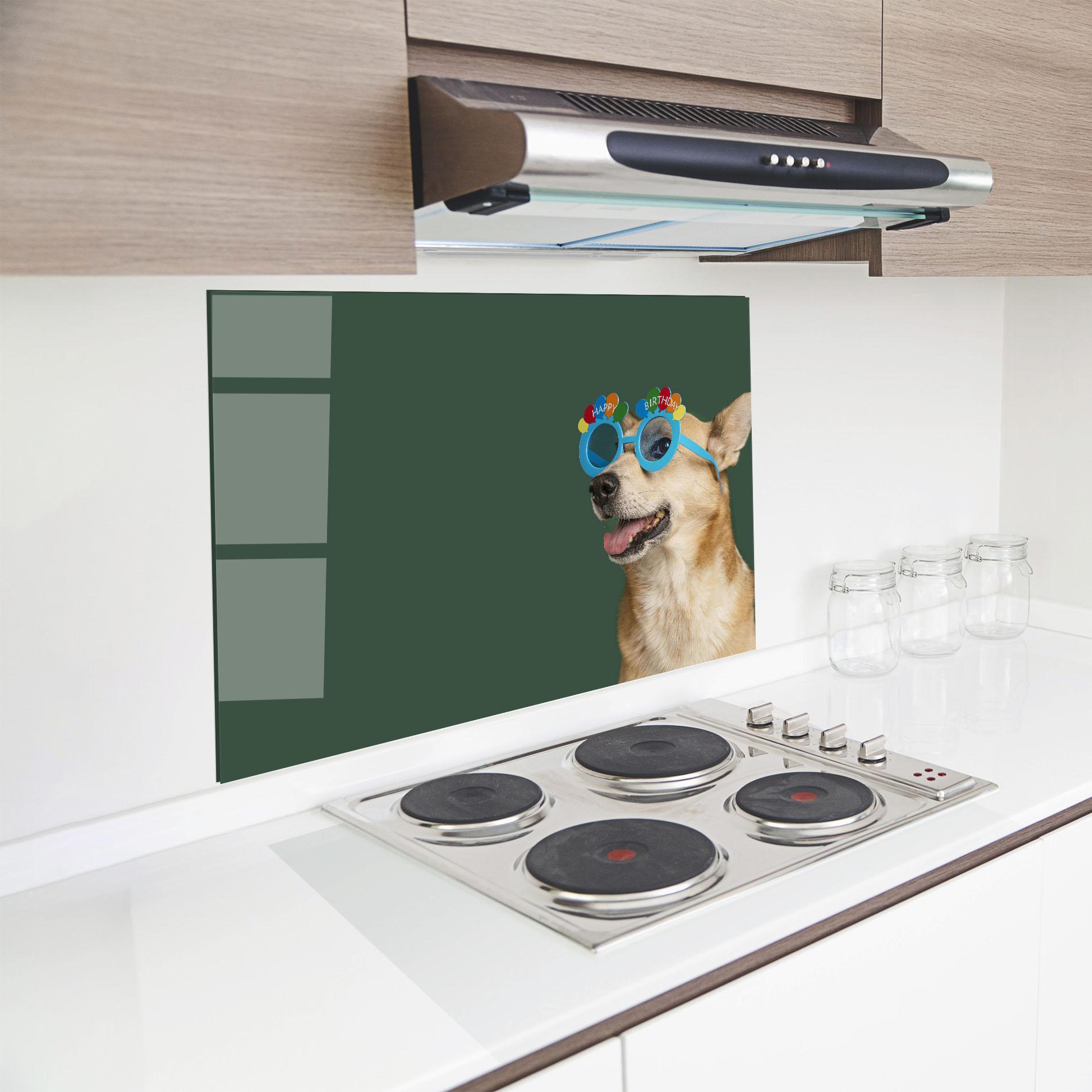 Küchenrückwand Glas Cute Glasses Dog mockup 8