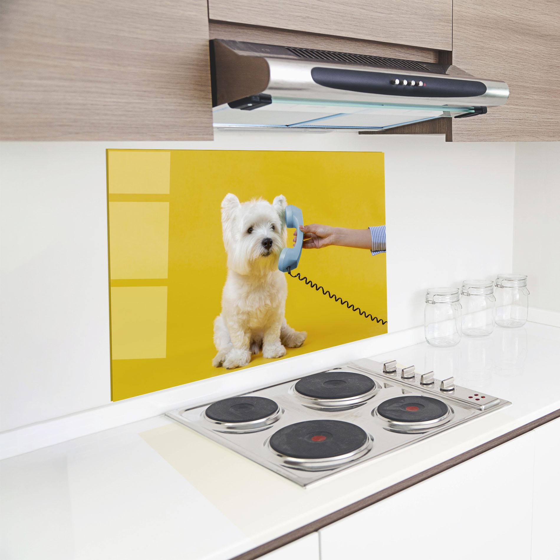 Küchenrückwand Glas Cute Little Dog mockup 8