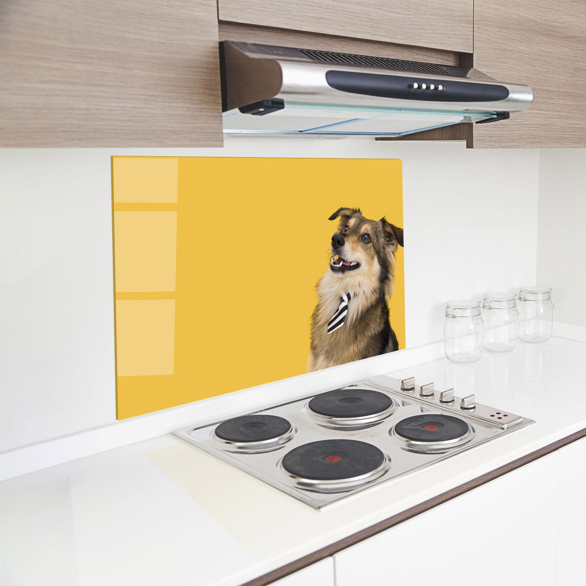 Küchenrückwand Glas Cute Smiling Dog mockup 8