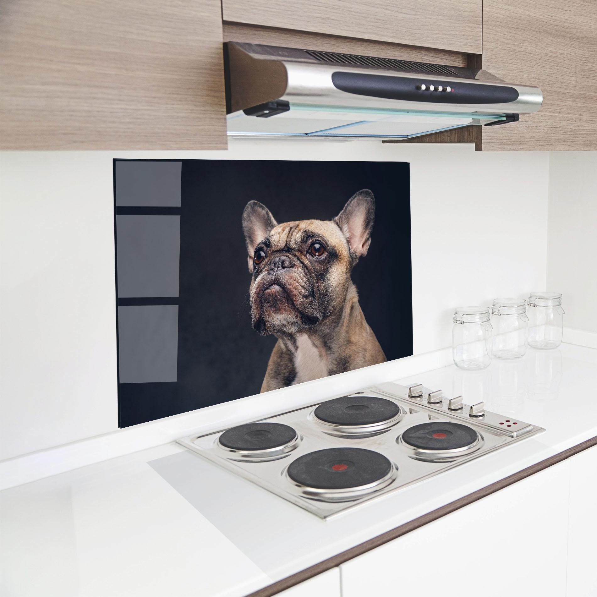 Küchenrückwand Glas Dog Looking Up mockup 8