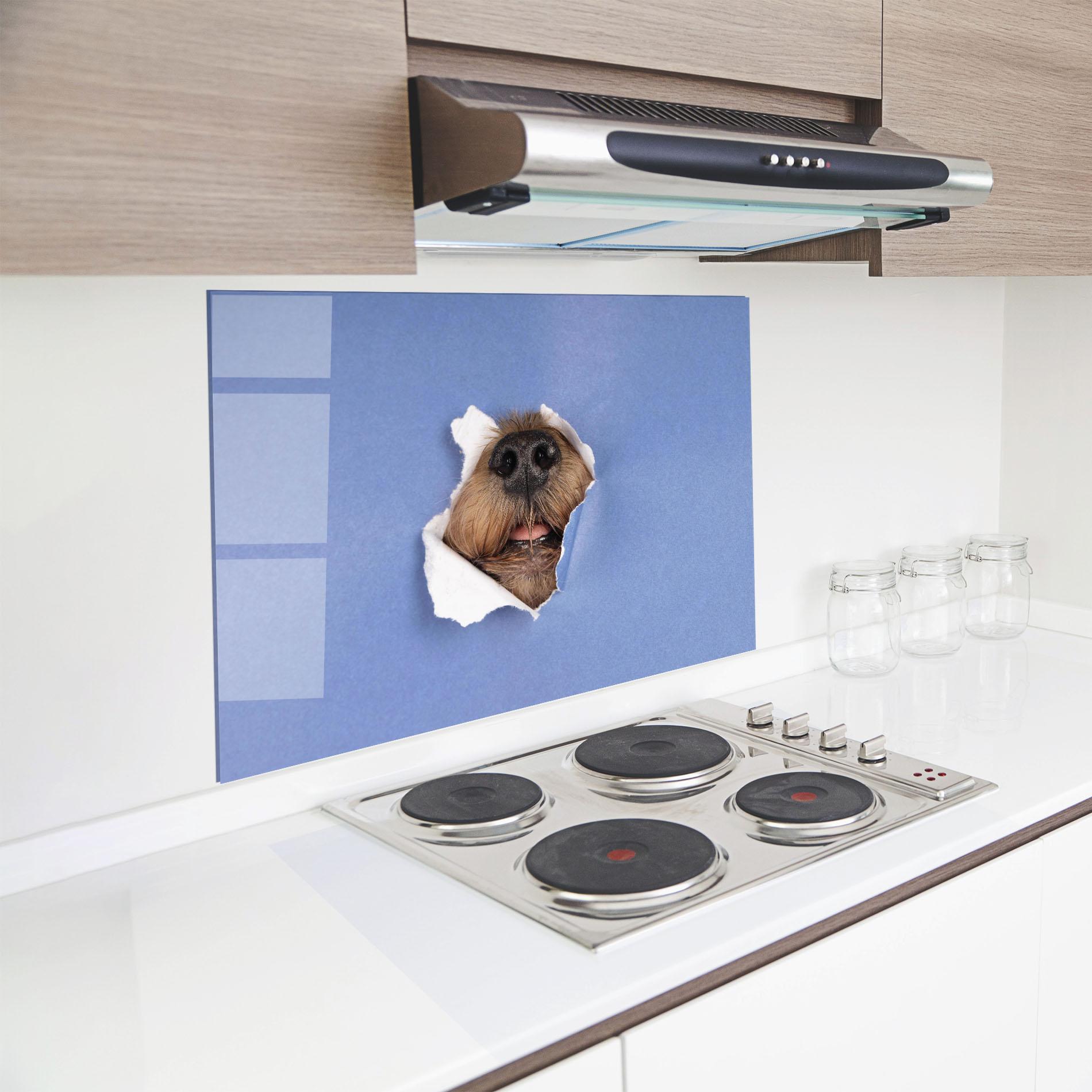 Küchenrückwand Glas Dog Small Nose mockup 8