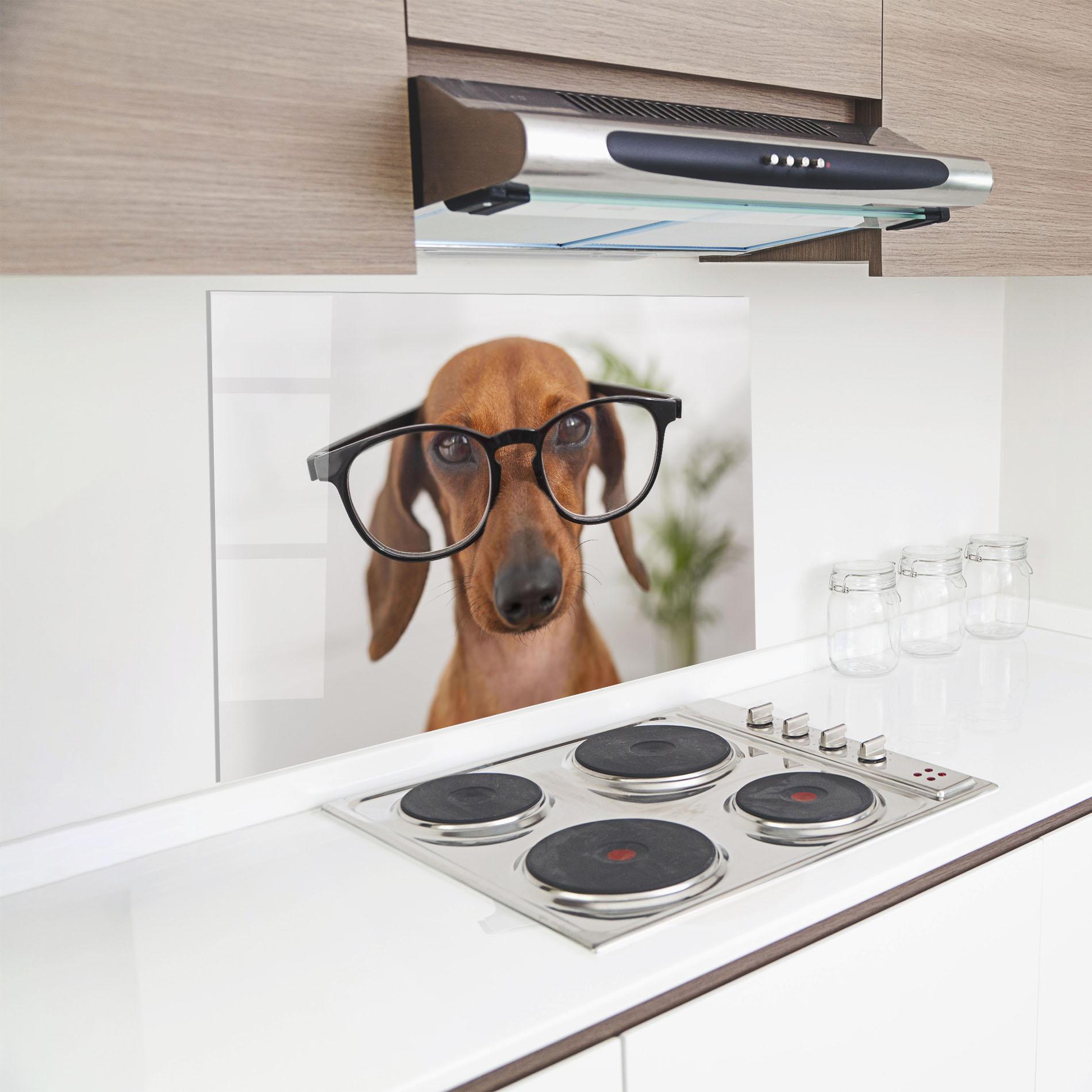 Küchenrückwand Glas Dog Wearing Glasses mockup 8