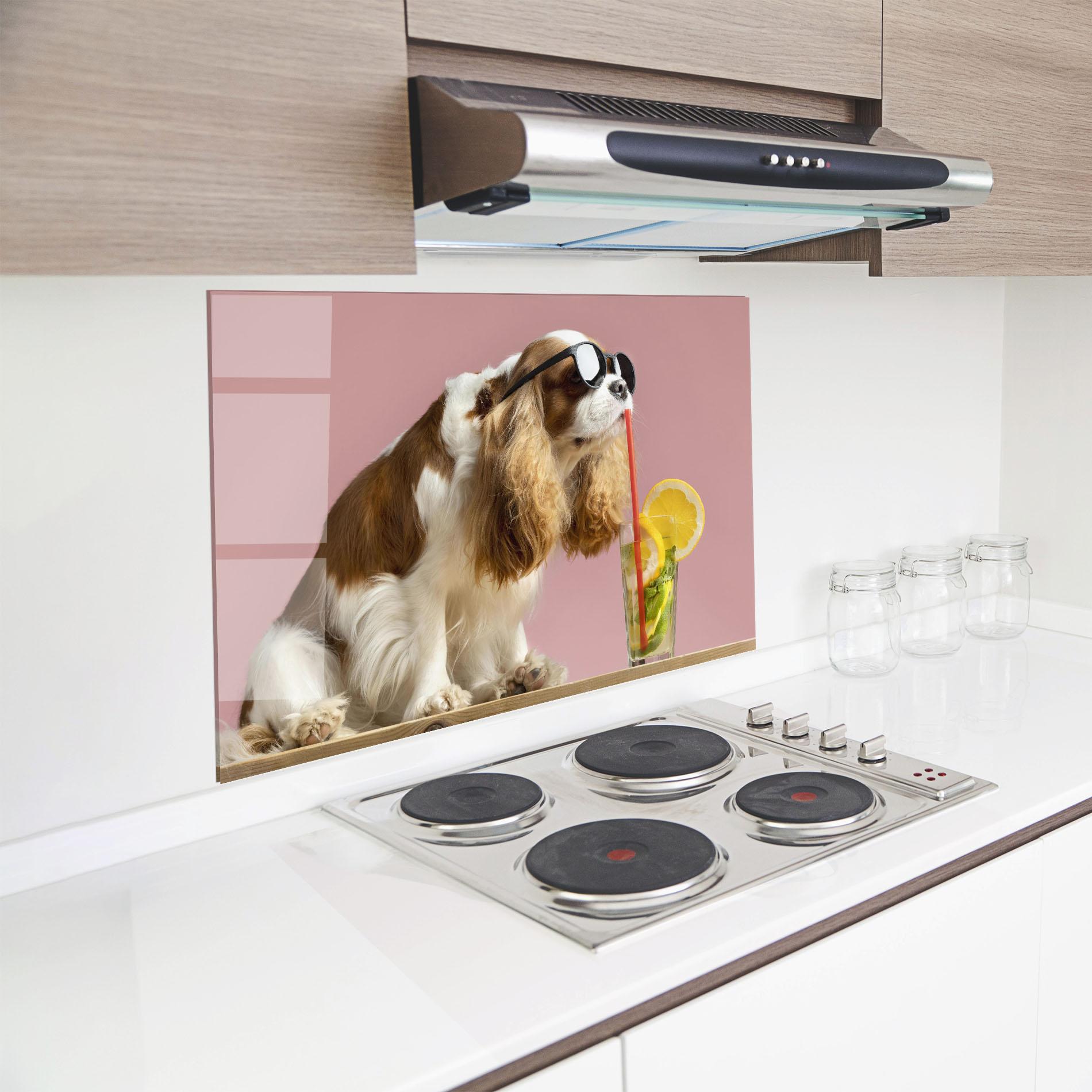 Küchenrückwand Glas Dog With Juice mockup 8