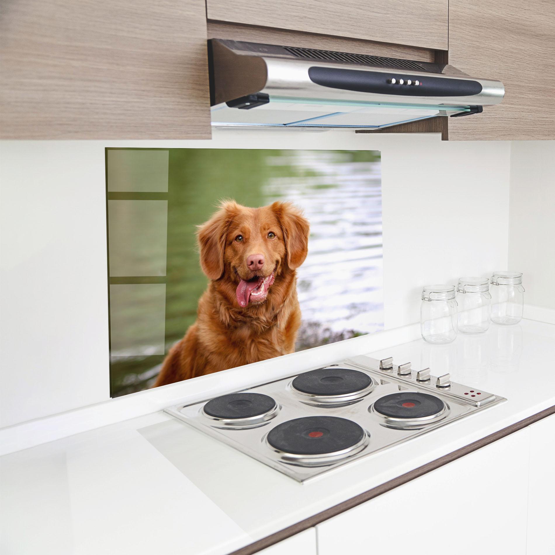 Küchenrückwand Glas Gren Water Dog mockup 8