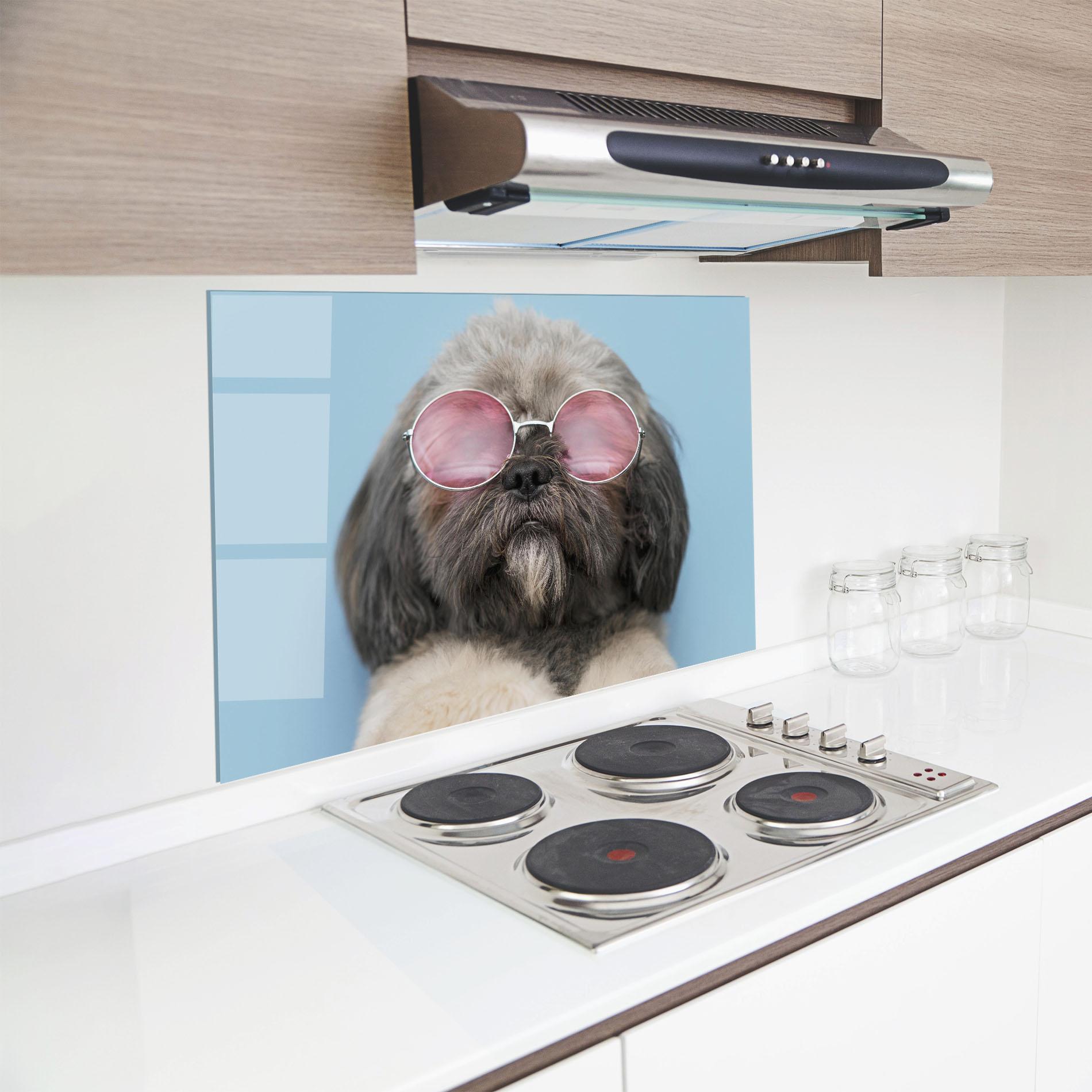 Küchenrückwand Glas Grey Dog On Blue mockup 8