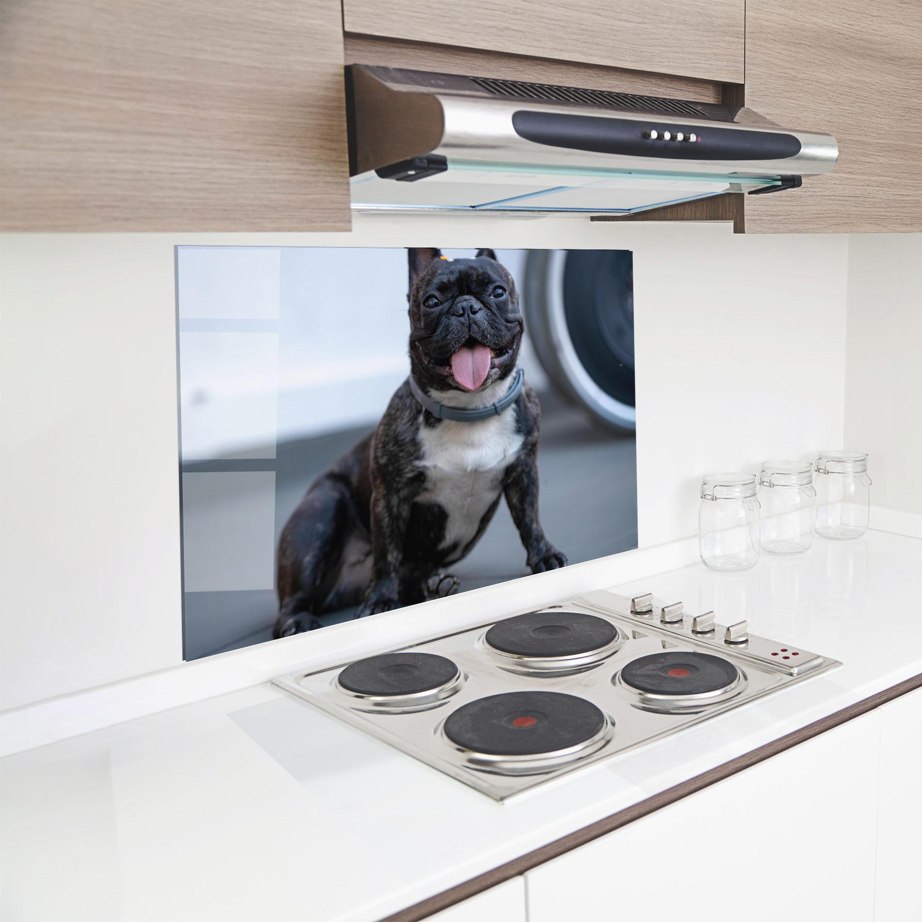 Küchenrückwand Glas Happy Black Dog mockup 8