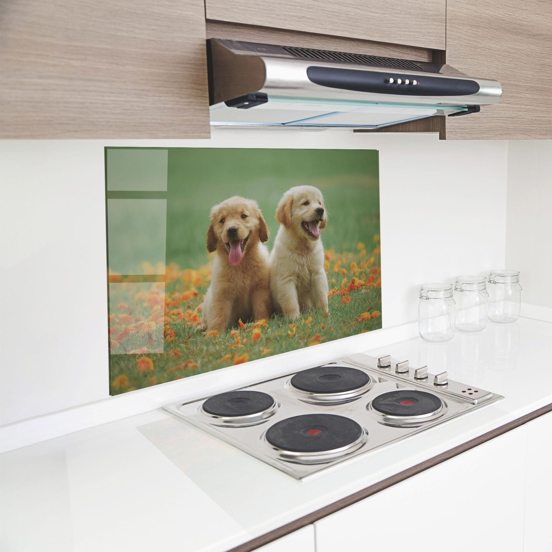 Küchenrückwand Glas Happy Dogs mockup 8