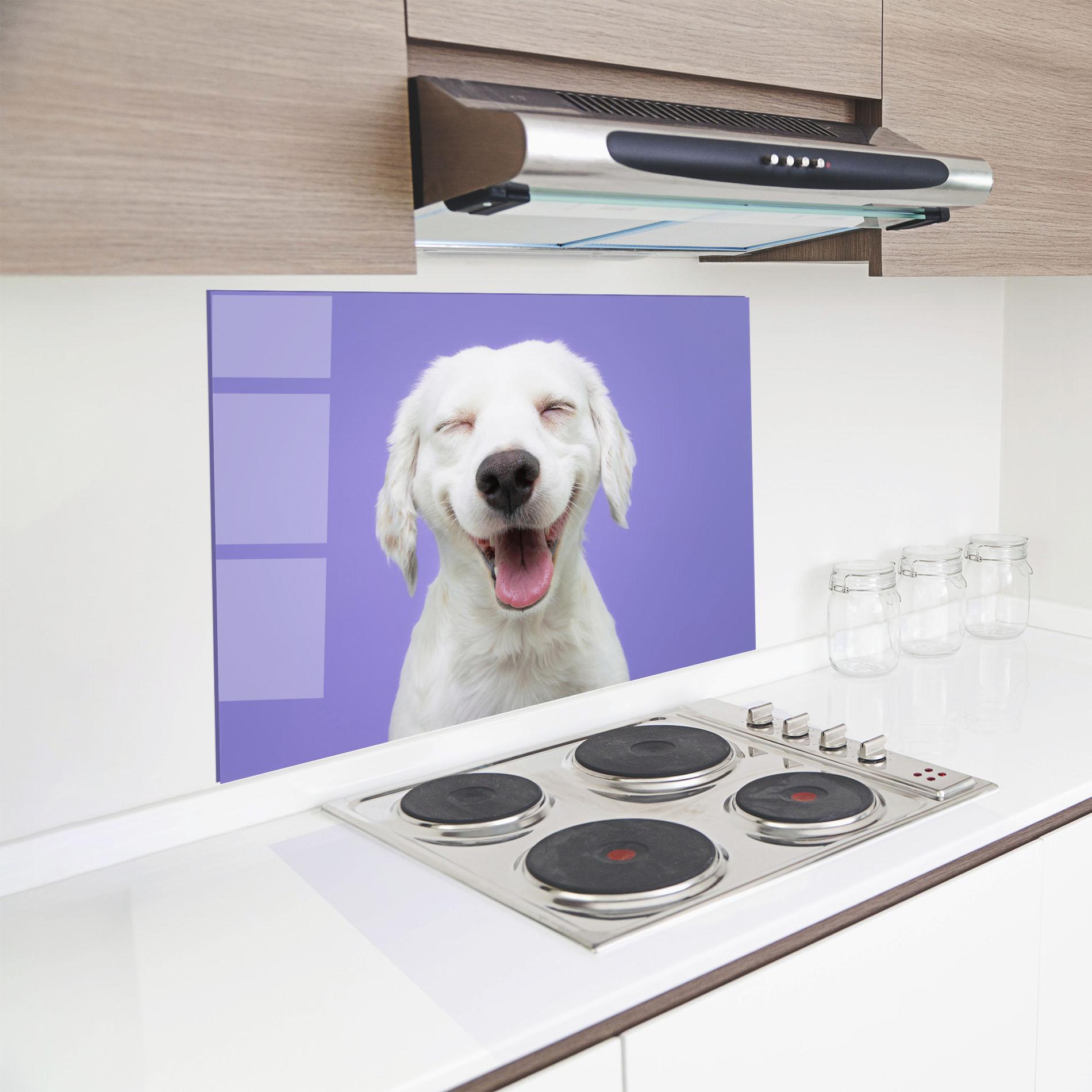 Küchenrückwand Glas Happy Whit Puppy mockup 8