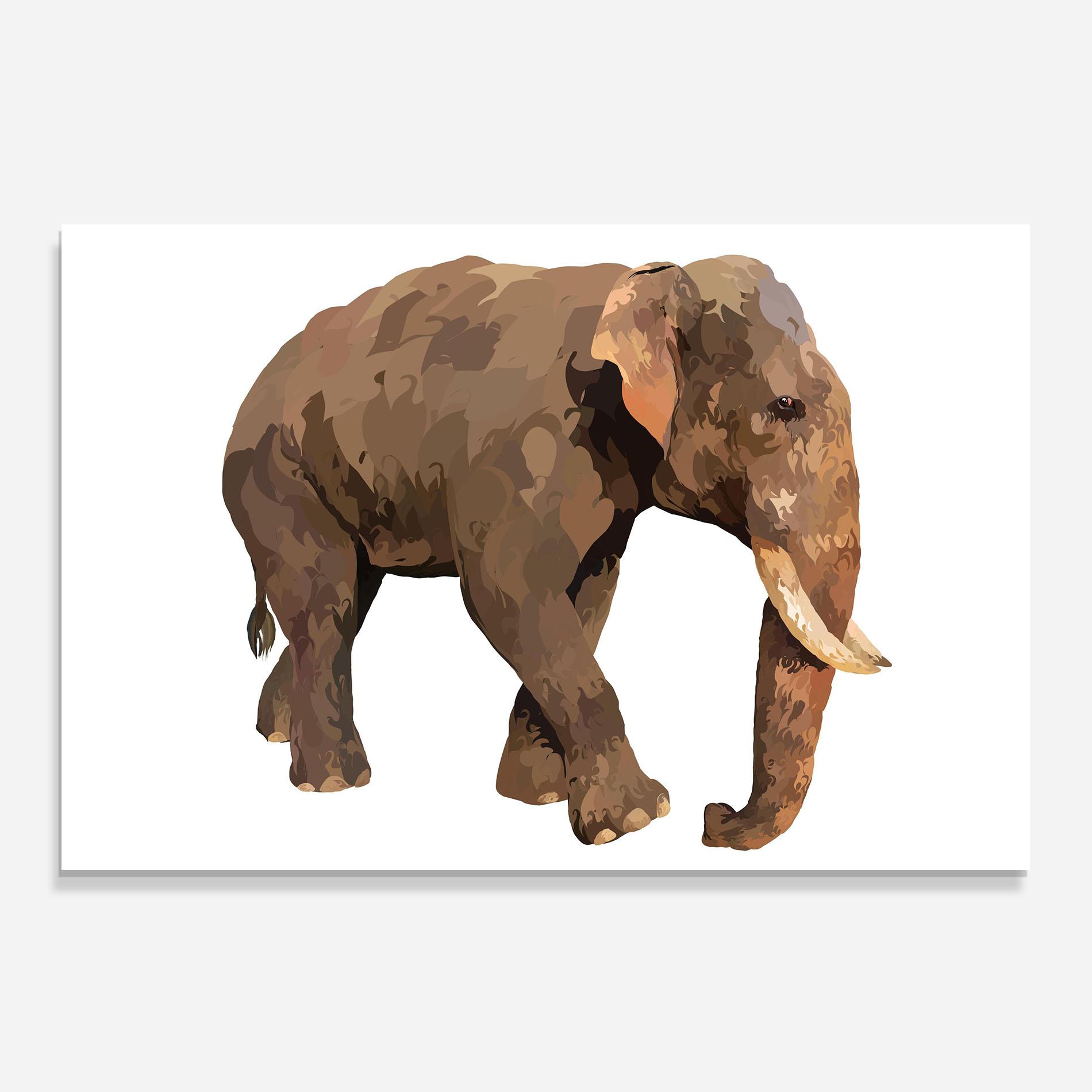Küchenrückwand Glas Brown Elephant mockup 0