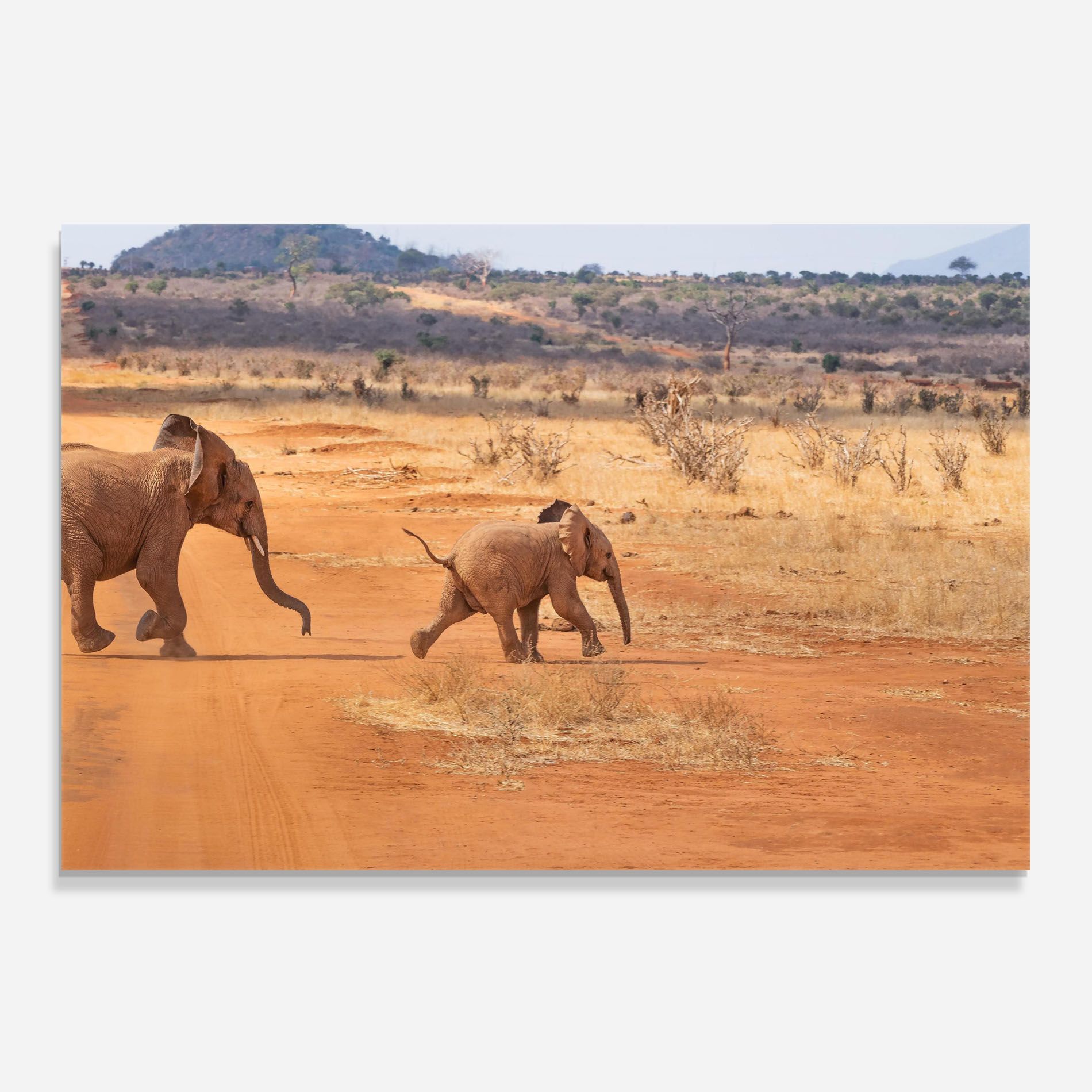 Desert Safari mockup 0