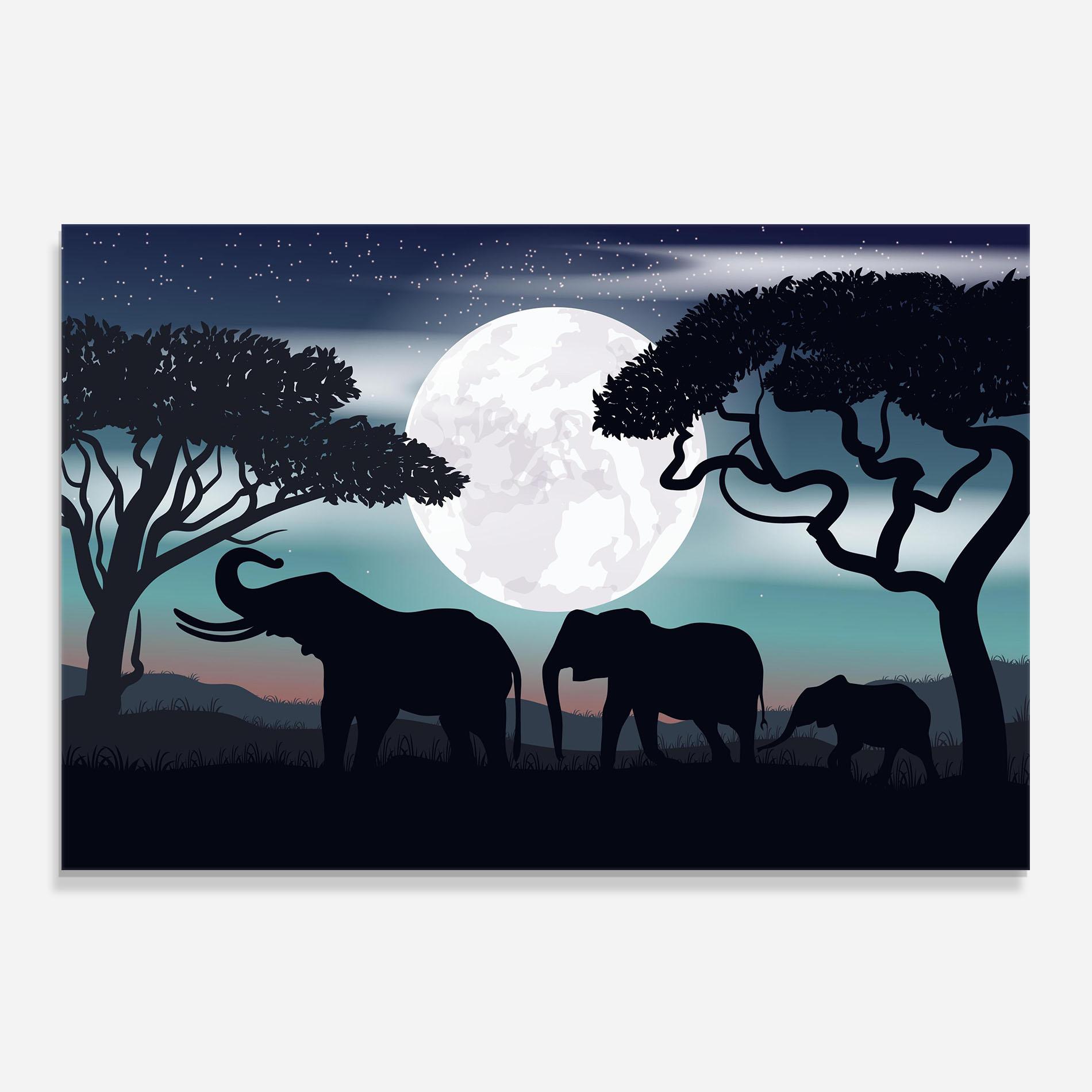 Küchenrückwand Glas Moon Elephant mockup 0