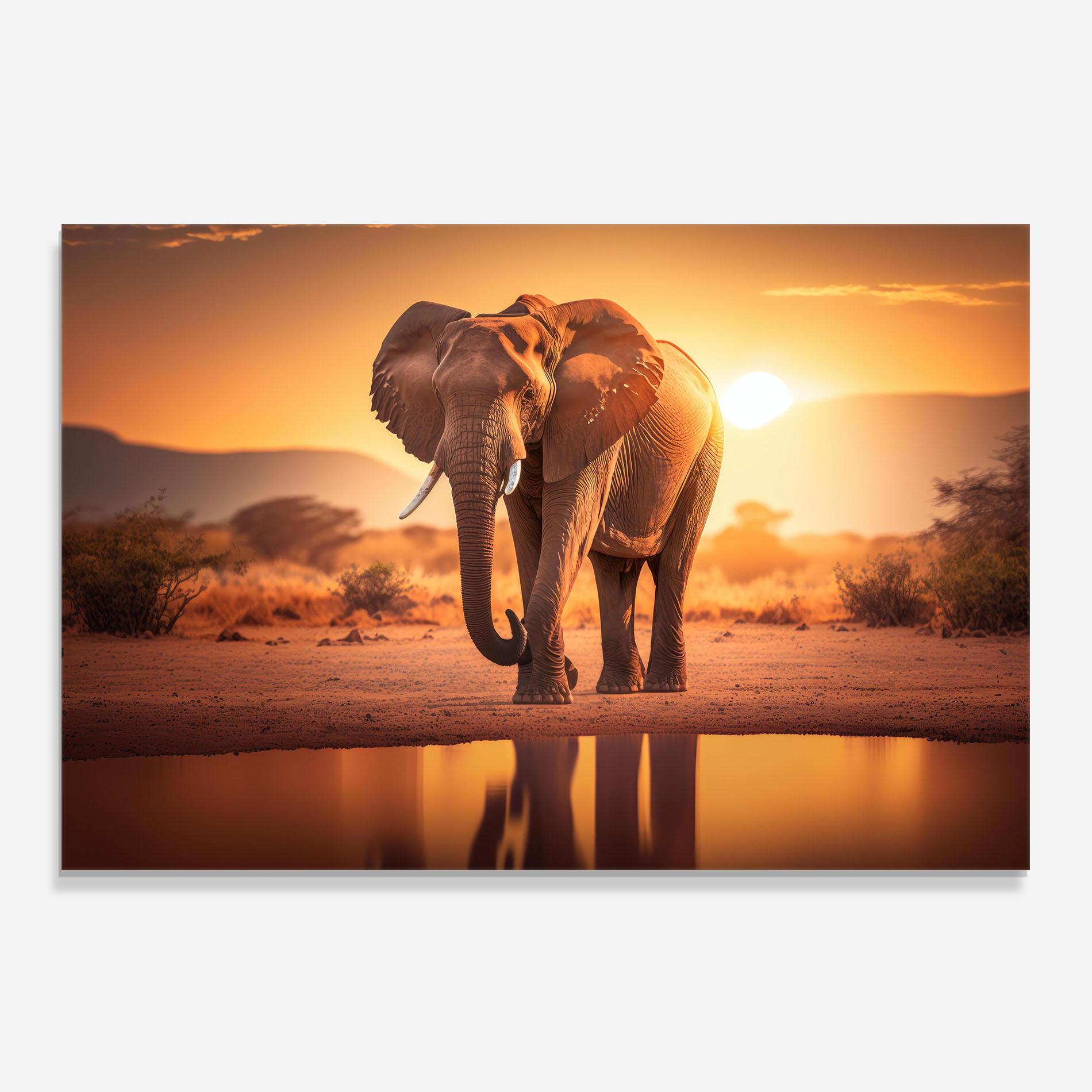 Küchenrückwand Glas Wild Savannah mockup 0