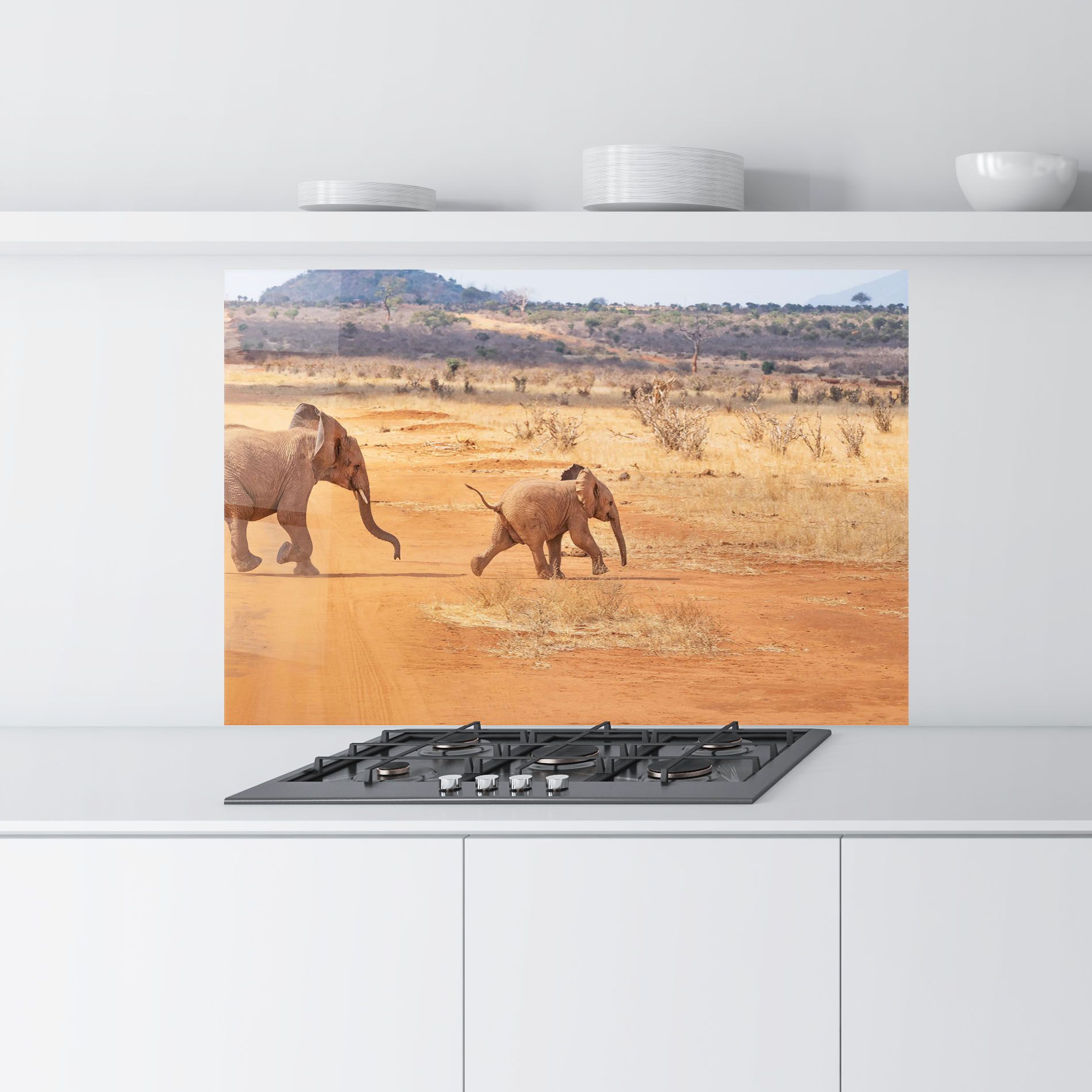 Desert Safari mockup 9