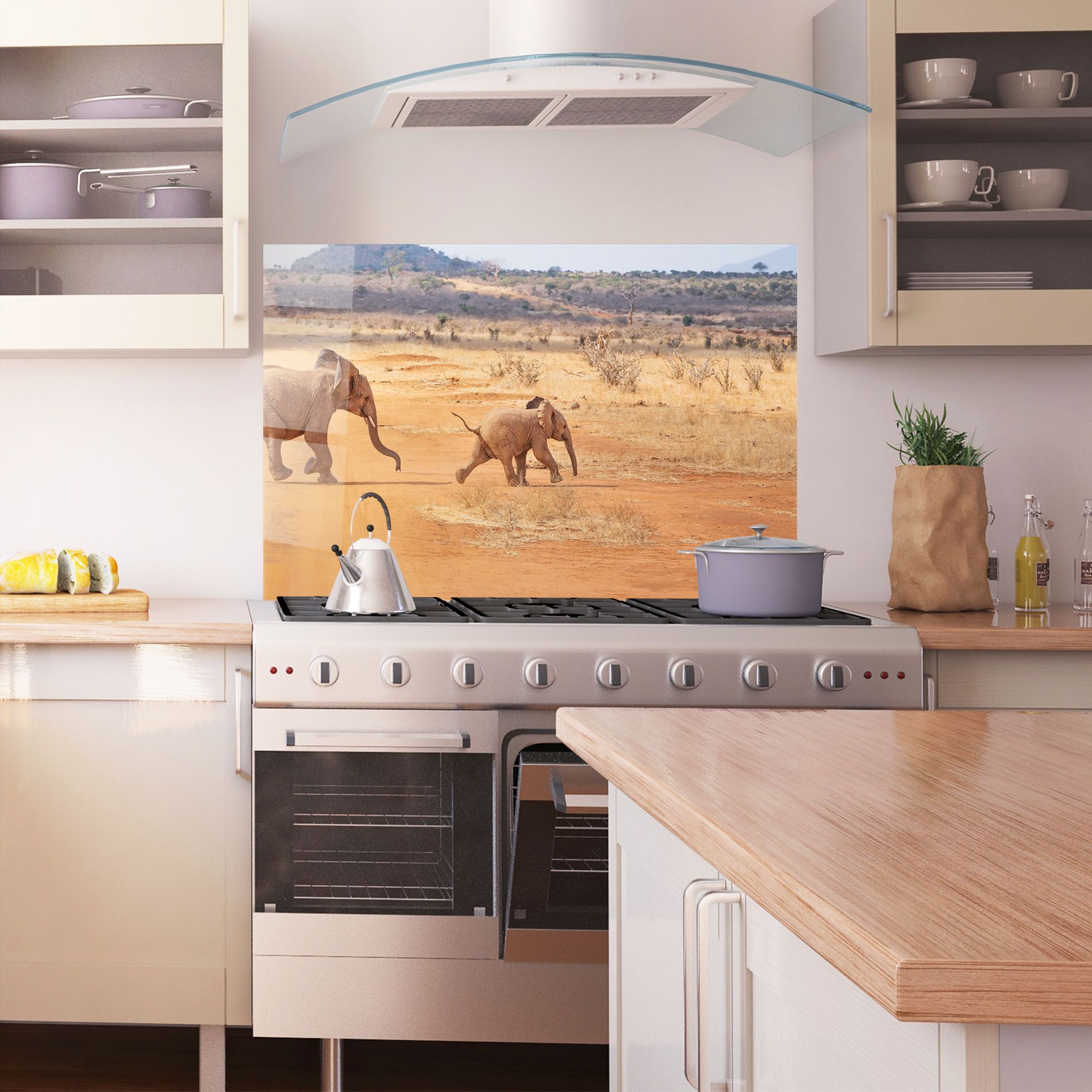 Desert Safari mockup 1