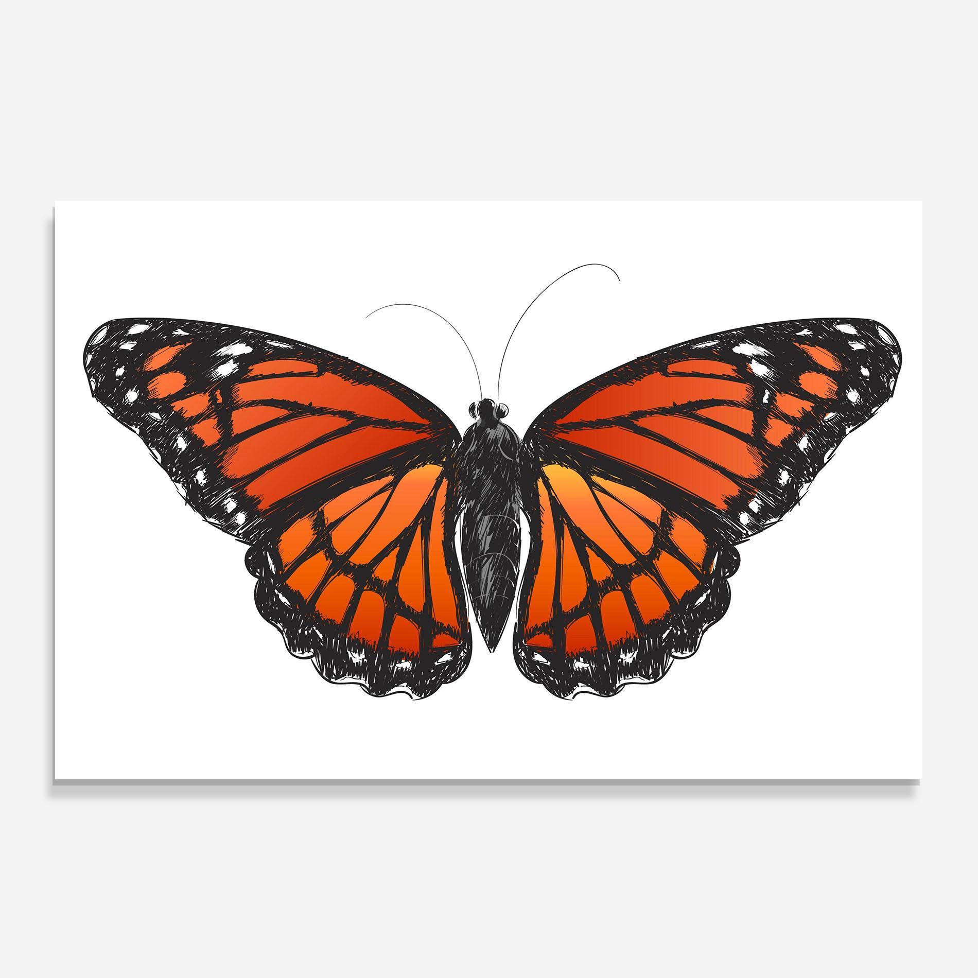 Küchenrückwand Glas Beautiful Orange Butterfly mockup 0