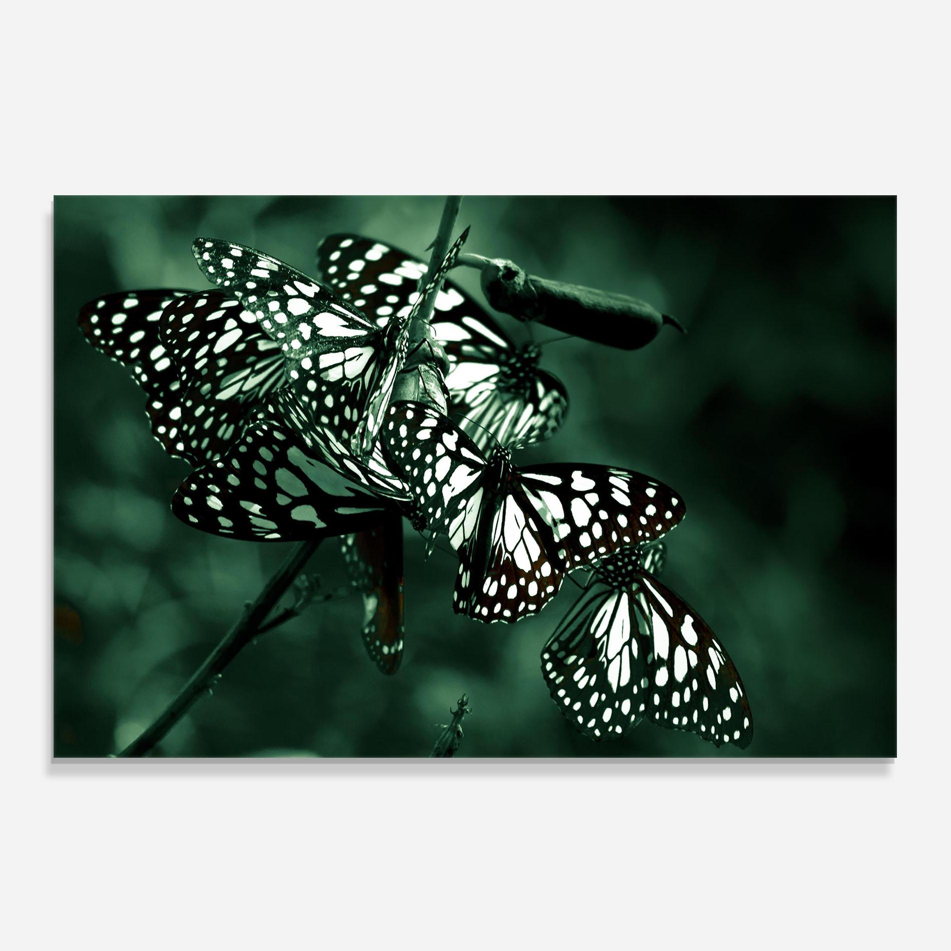 Küchenrückwand Glas Black White Butterflies mockup 0