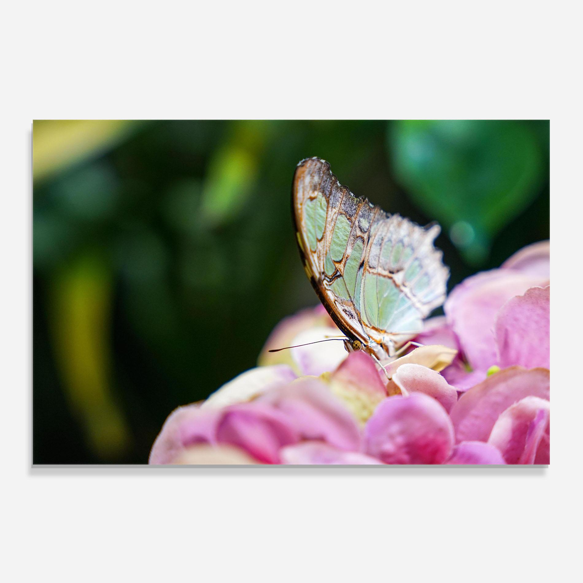 Küchenrückwand Glas Nazrin Babashova Diuumqmfwys Unsplash mockup 0