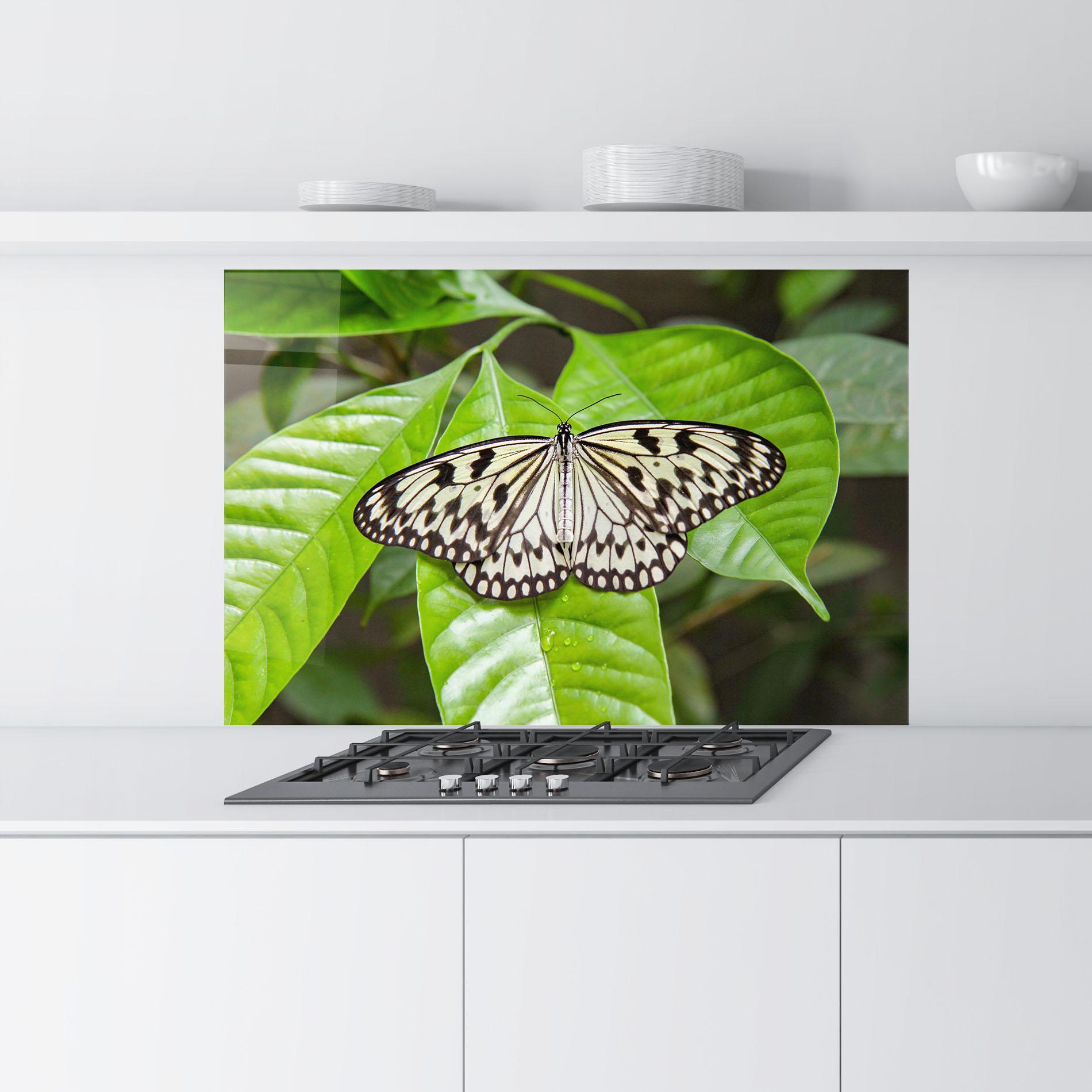 Küchenrückwand Glas Beautiful White Butterfly mockup 9