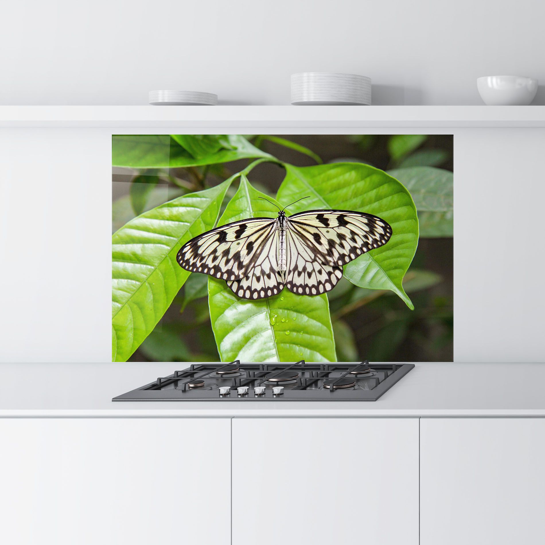 Beautiful White Butterfly mockup 9