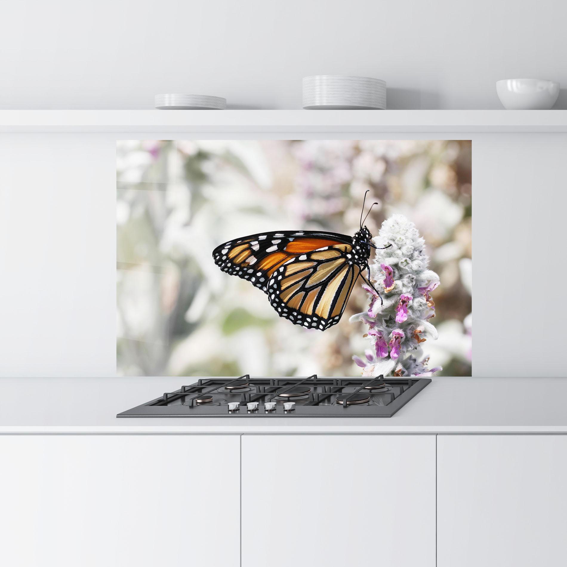 Küchenrückwand Glas Beauty Butterfly mockup 9