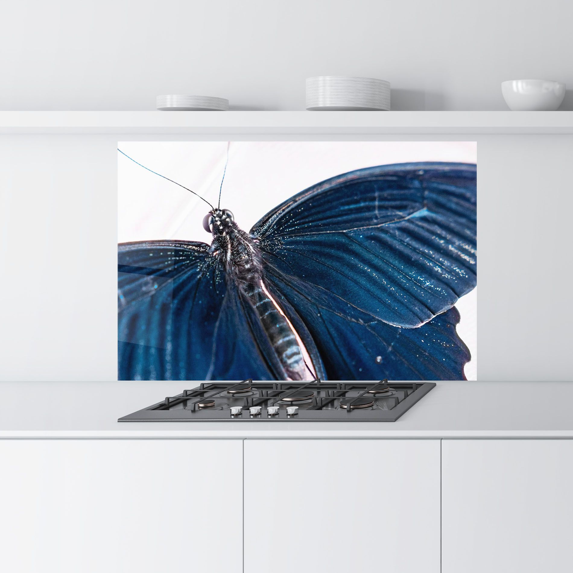 Blue Butterfly mockup 9