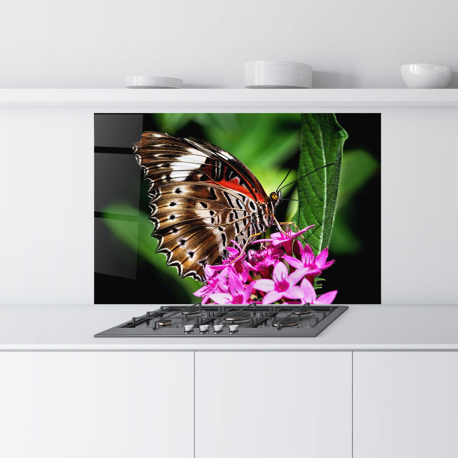 Küchenrückwand Glas Brown Red Butterfly mockup 9