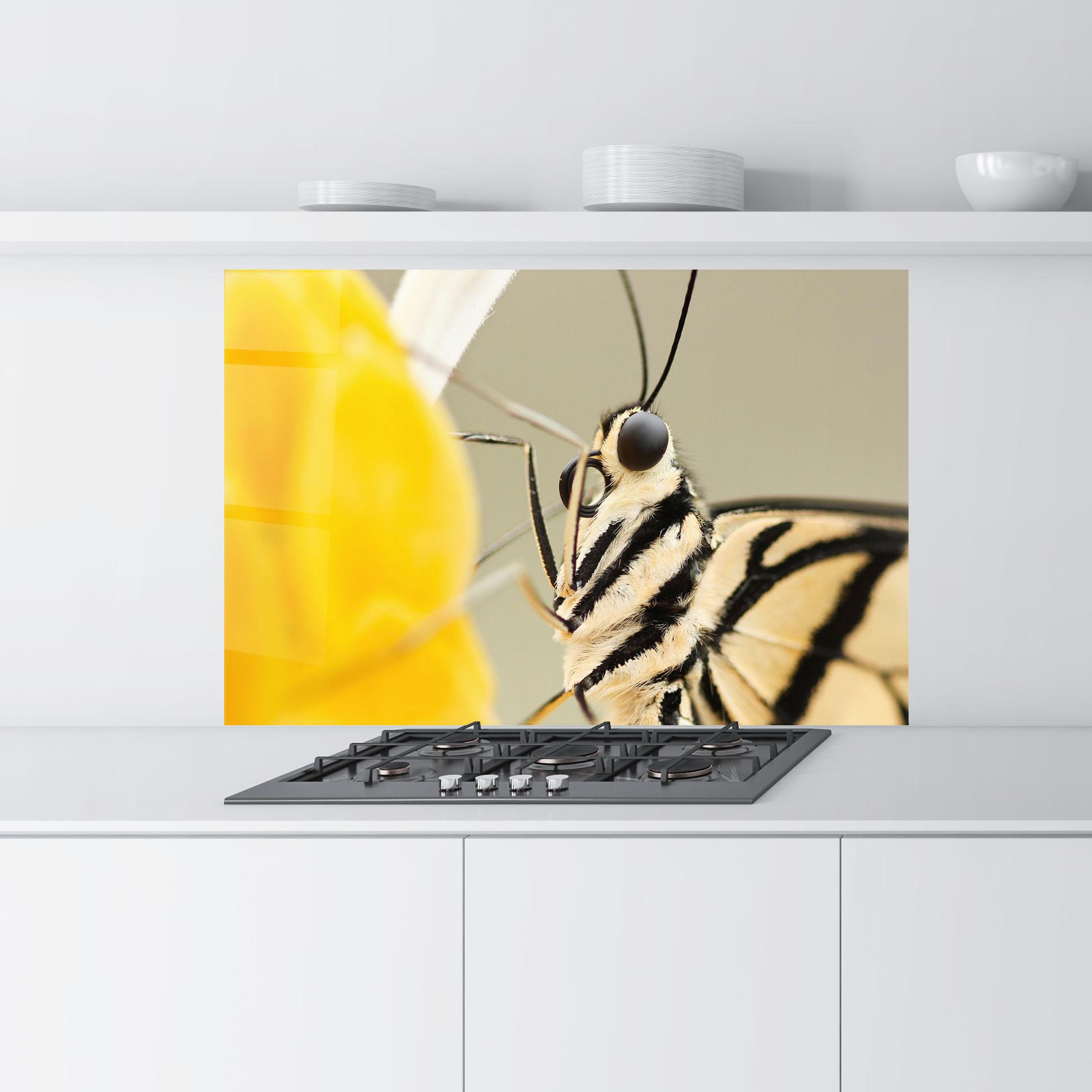 Küchenrückwand Glas Close Up Cream Butterfly mockup 9