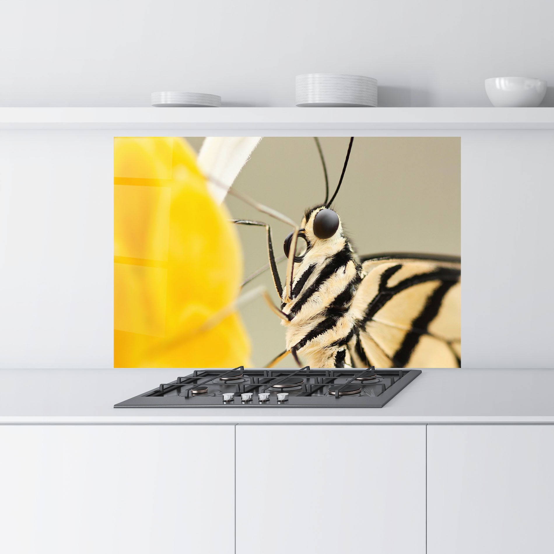 Close Up Cream Butterfly mockup 9