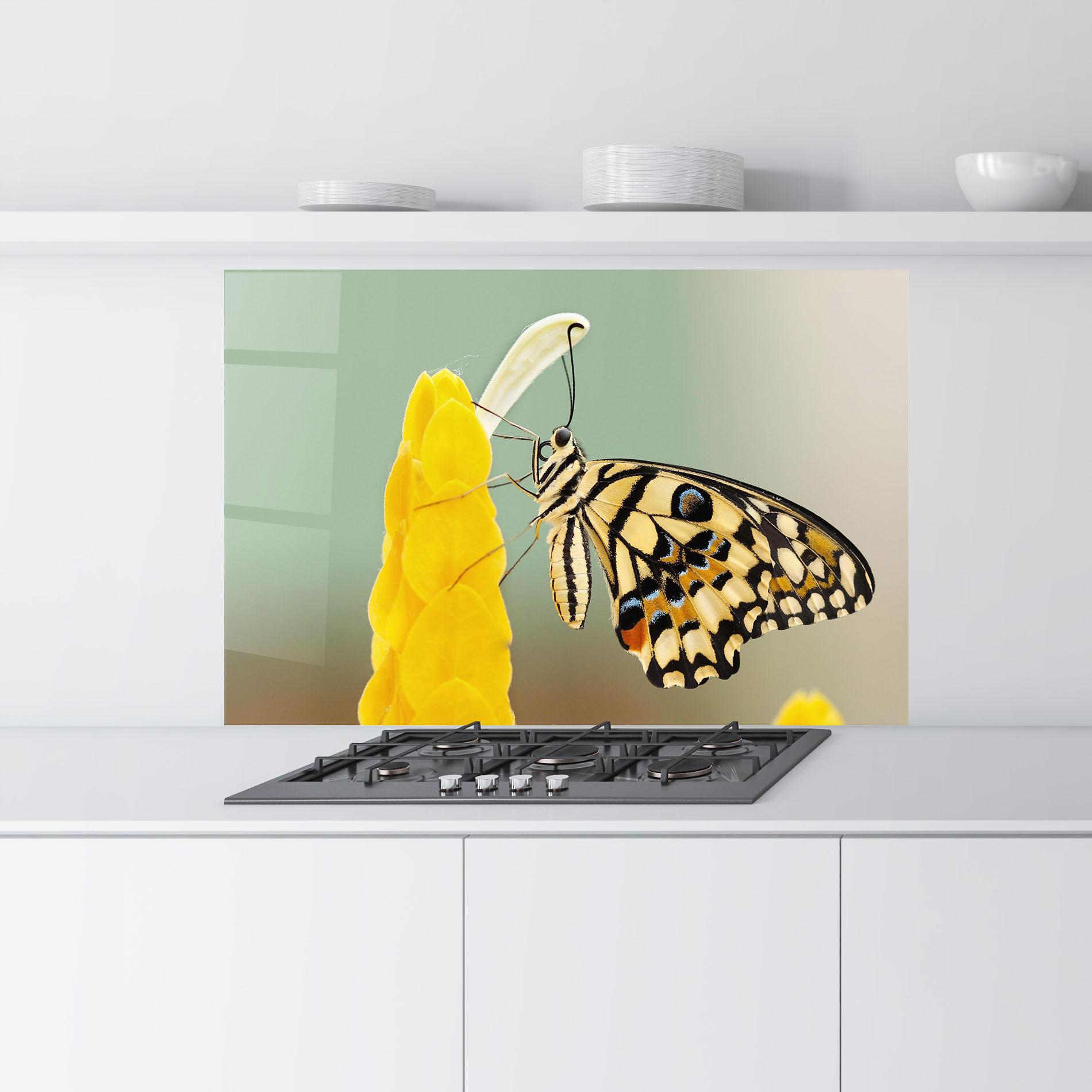 Küchenrückwand Glas Cream Yellow Butterfly mockup 9