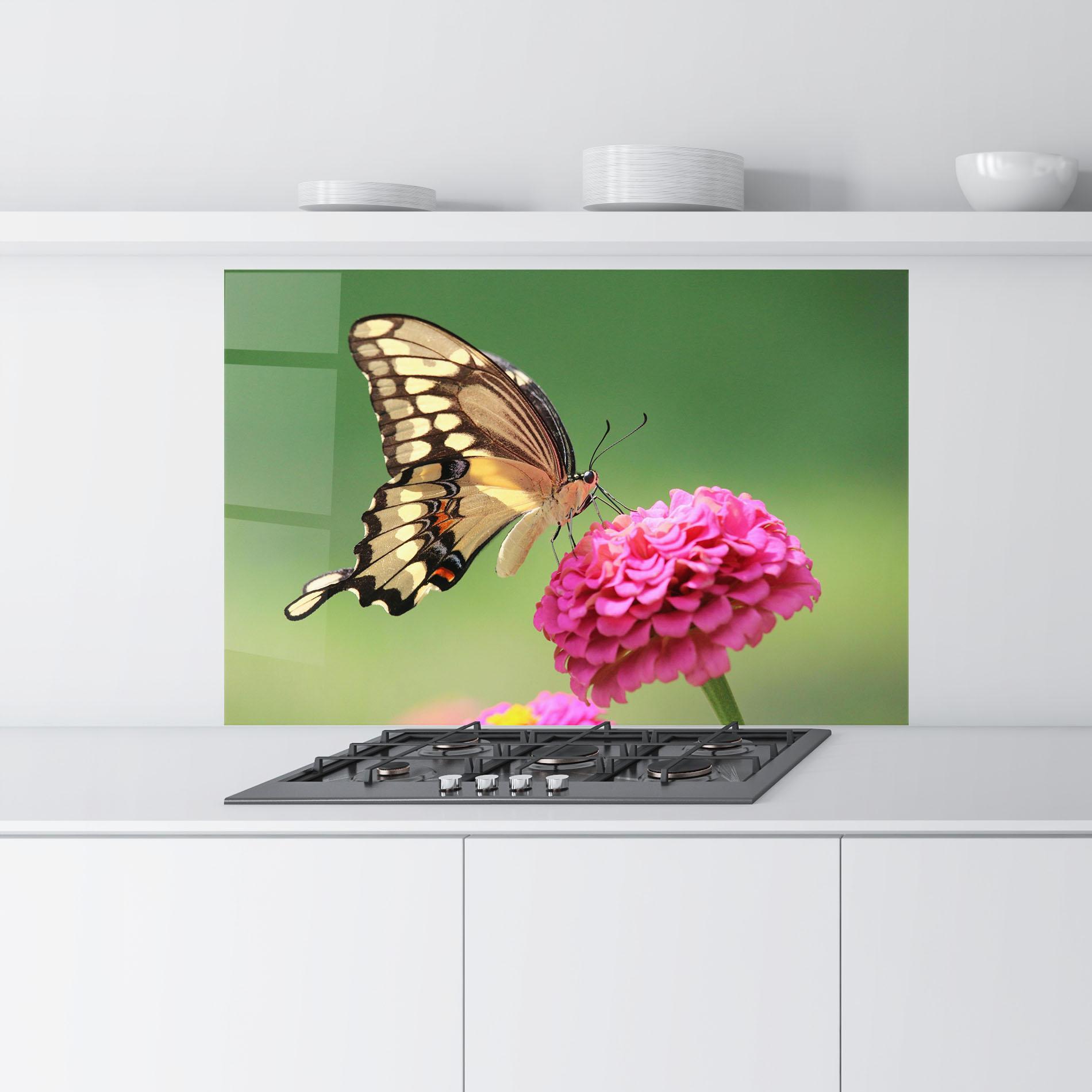 Küchenrückwand Glas Cute Cream Butterfly mockup 9