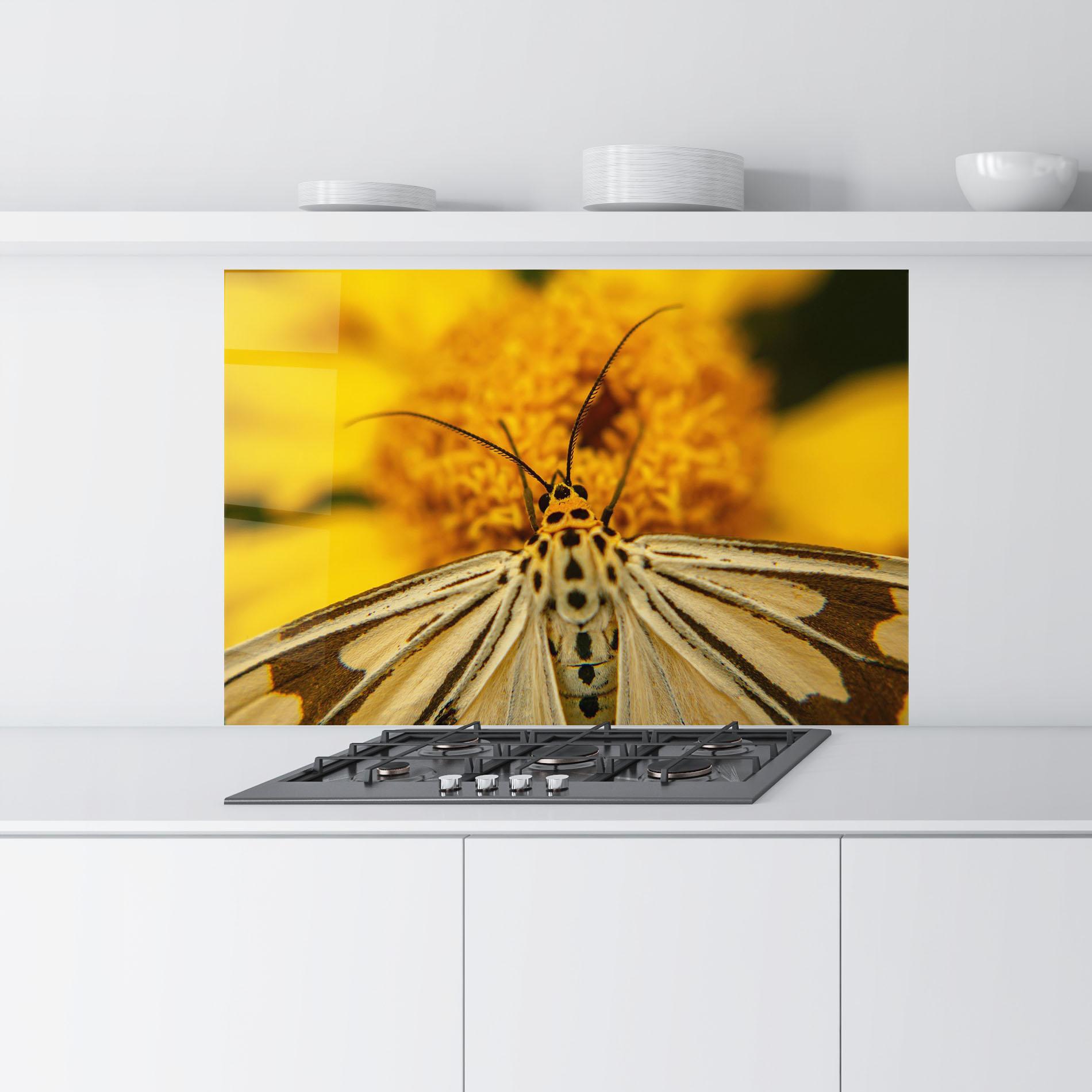 Küchenrückwand Glas Pollen Butterfly mockup 9