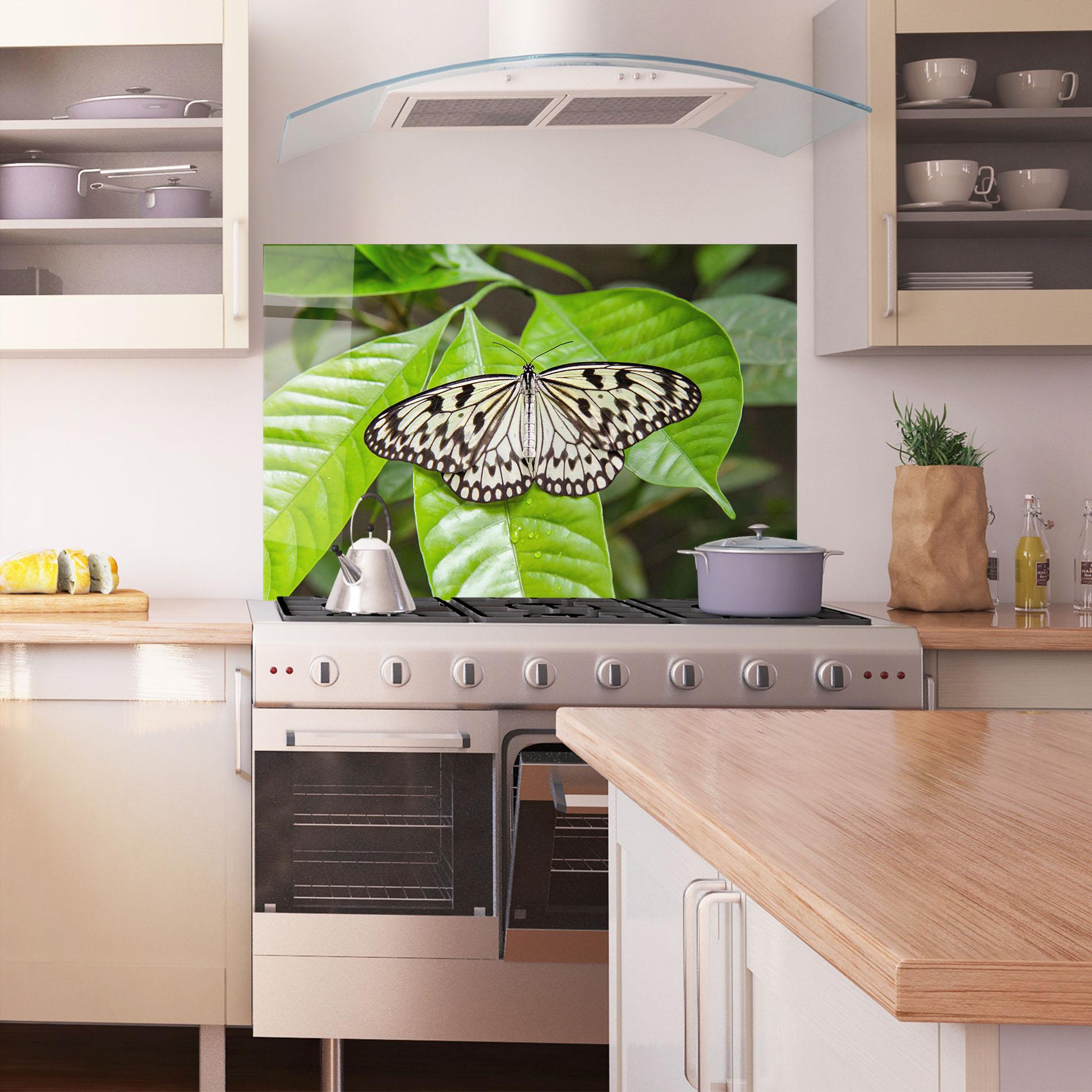 Küchenrückwand Glas Beautiful White Butterfly mockup 1