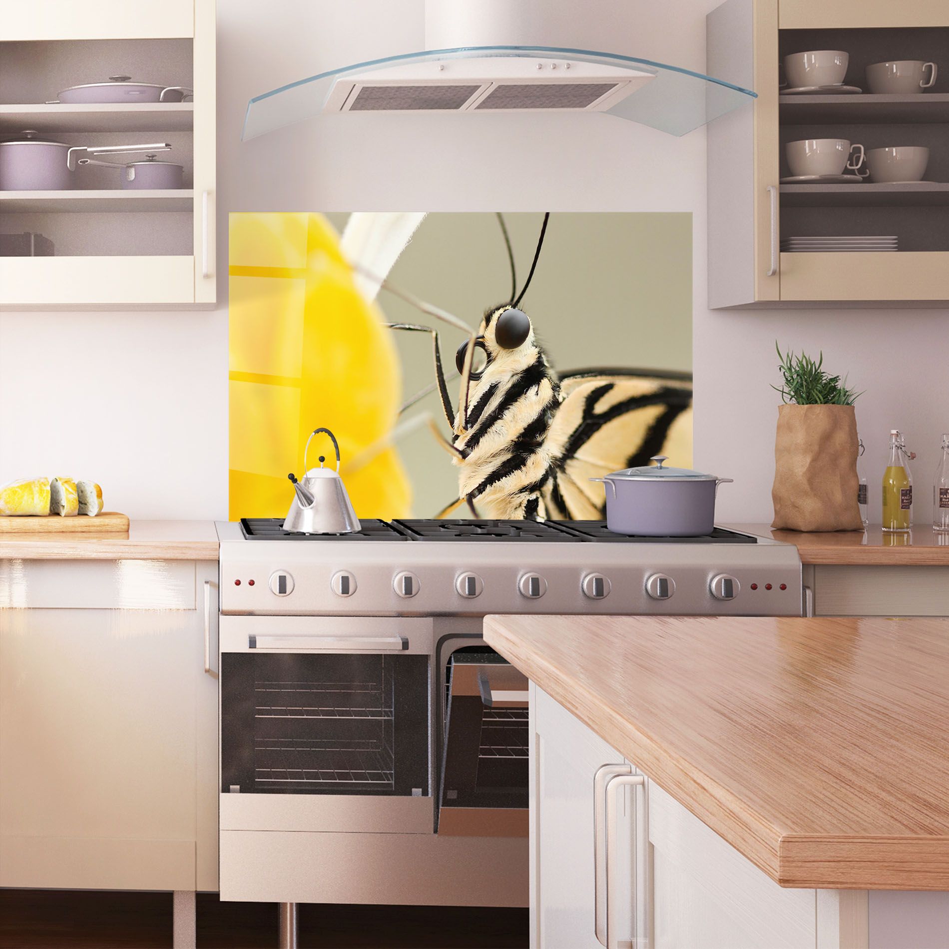 Close Up Cream Butterfly mockup 1