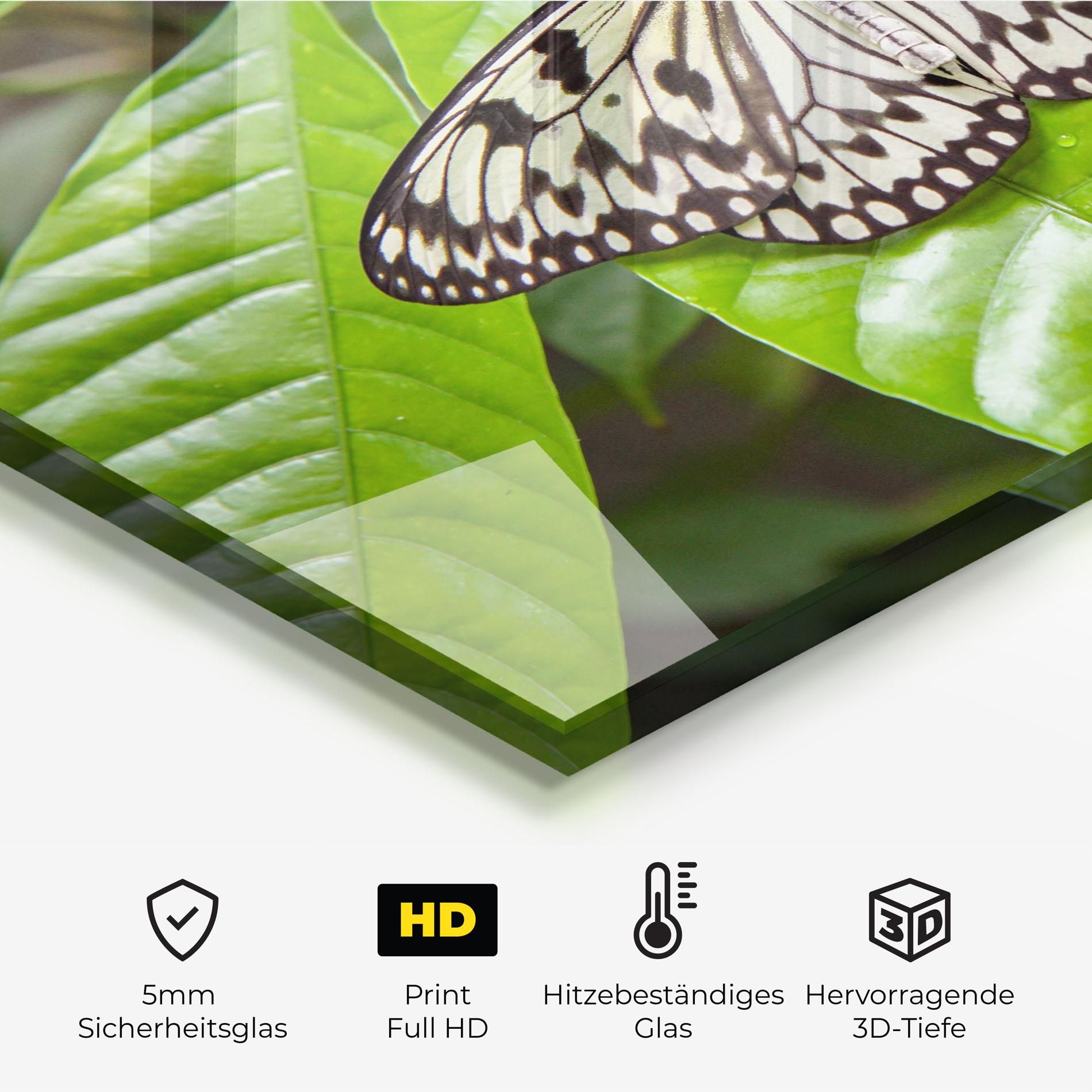 Beautiful White Butterfly mockup 2