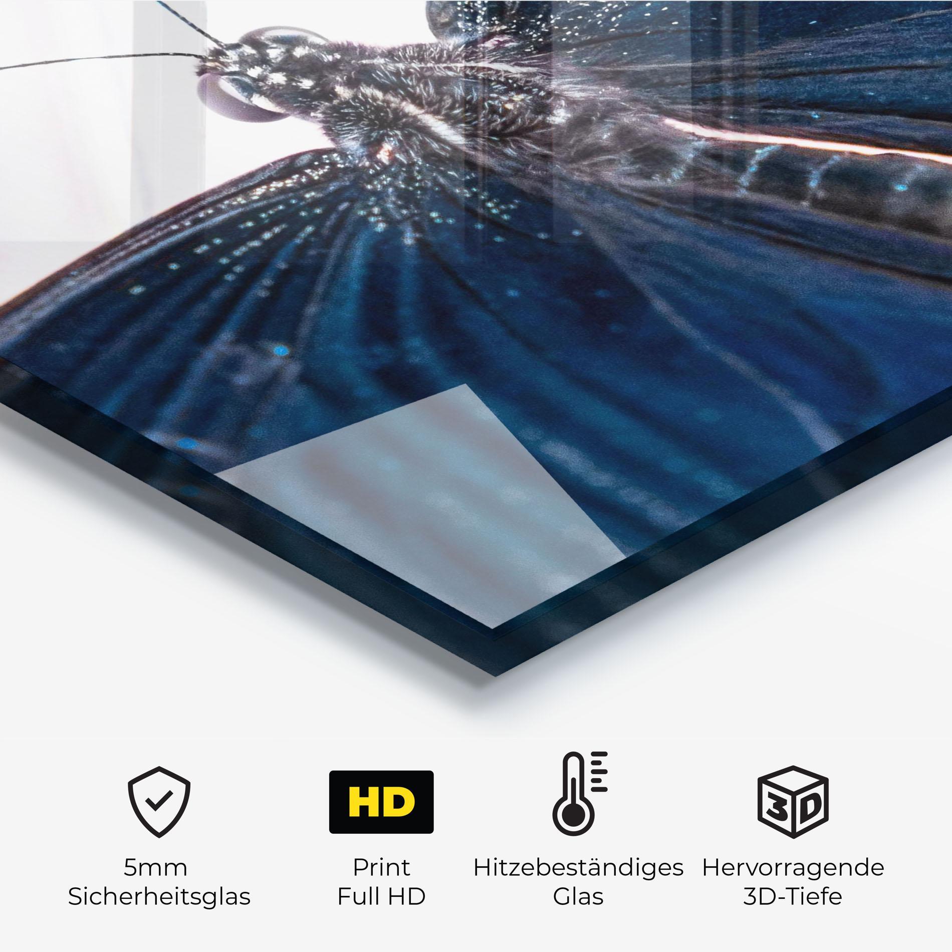 Küchenrückwand Glas Blue Butterfly mockup 2