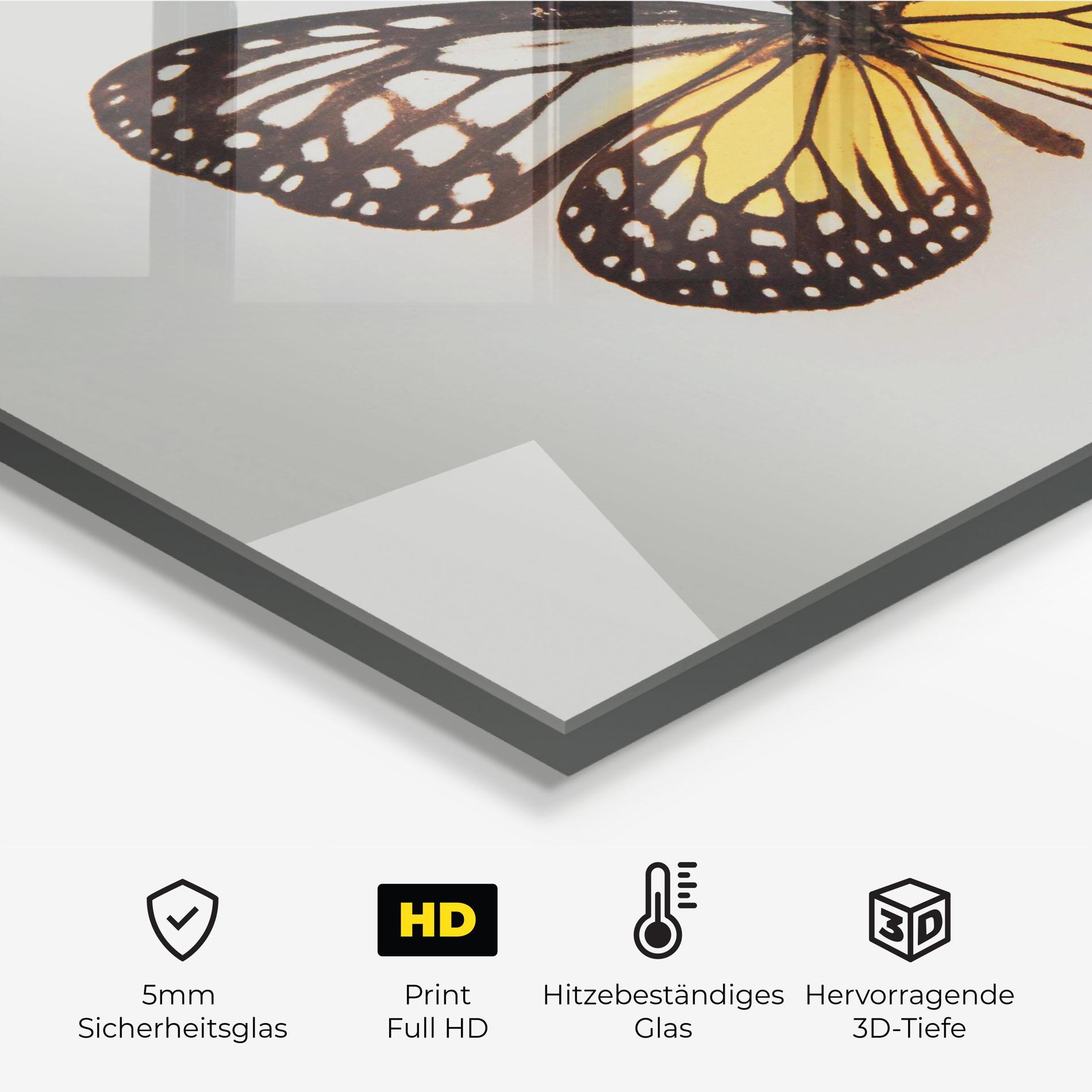 Küchenrückwand Glas Butterfly On Grey mockup 2