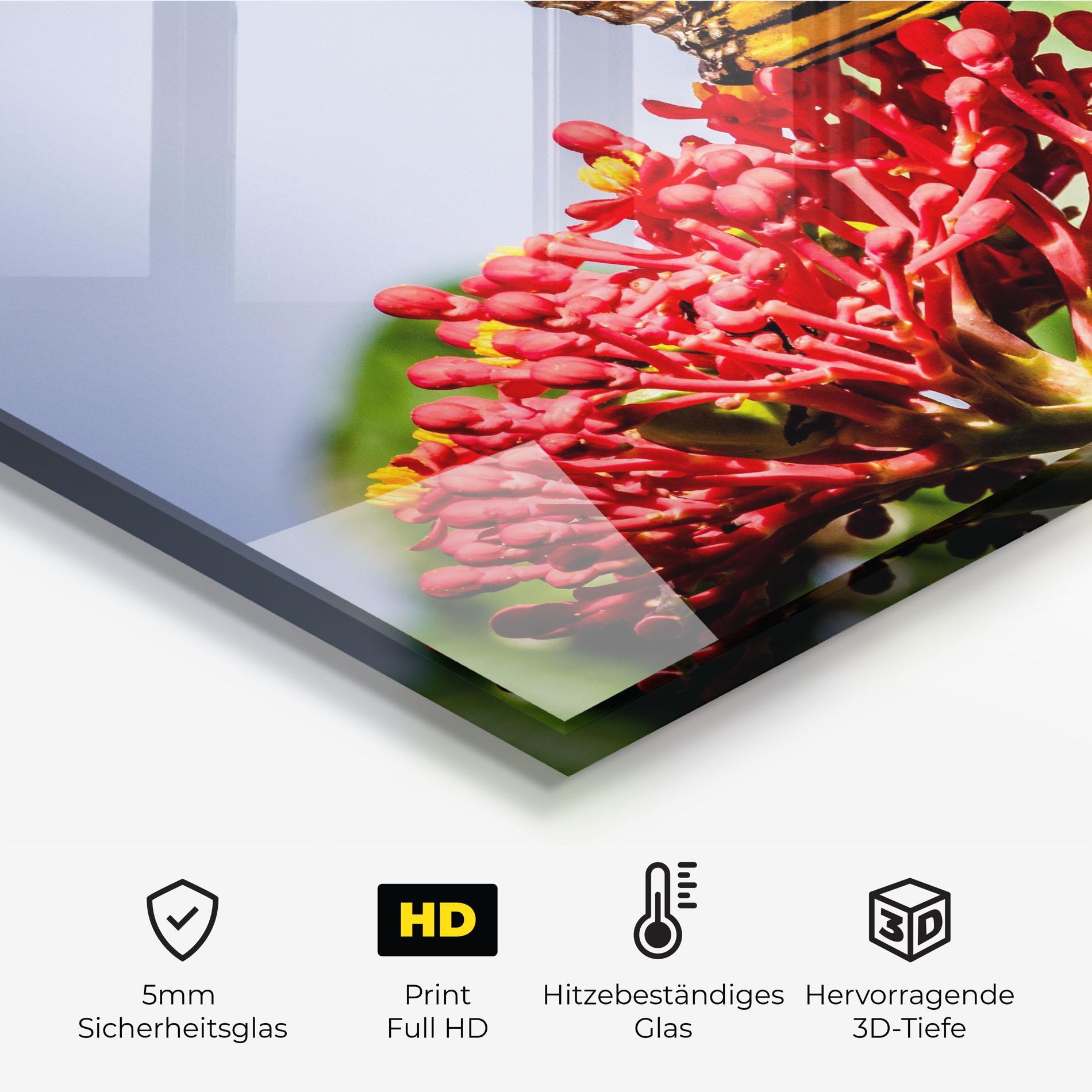 Küchenrückwand Glas Butterfly On Red Flower mockup 2