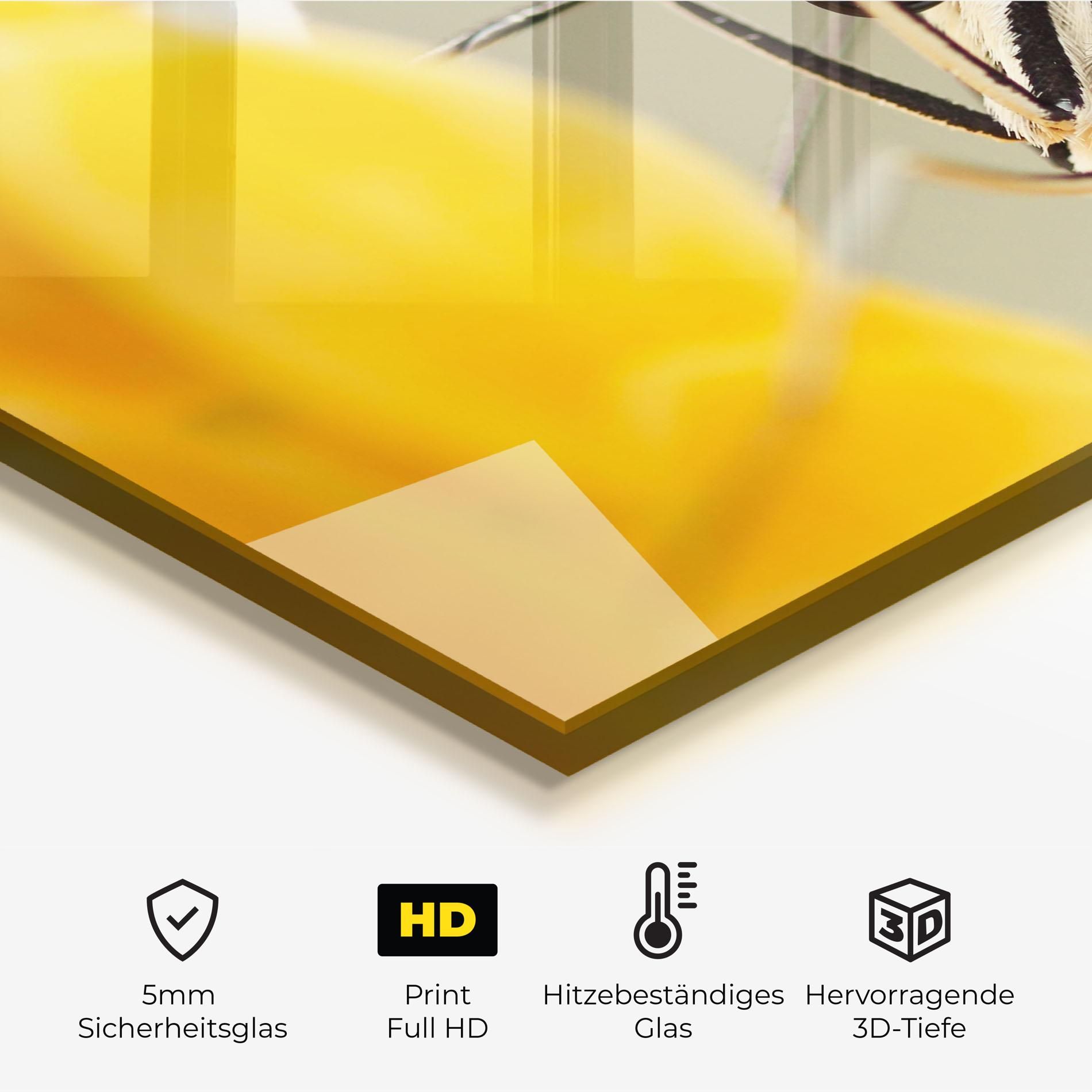 Close Up Cream Butterfly mockup 2