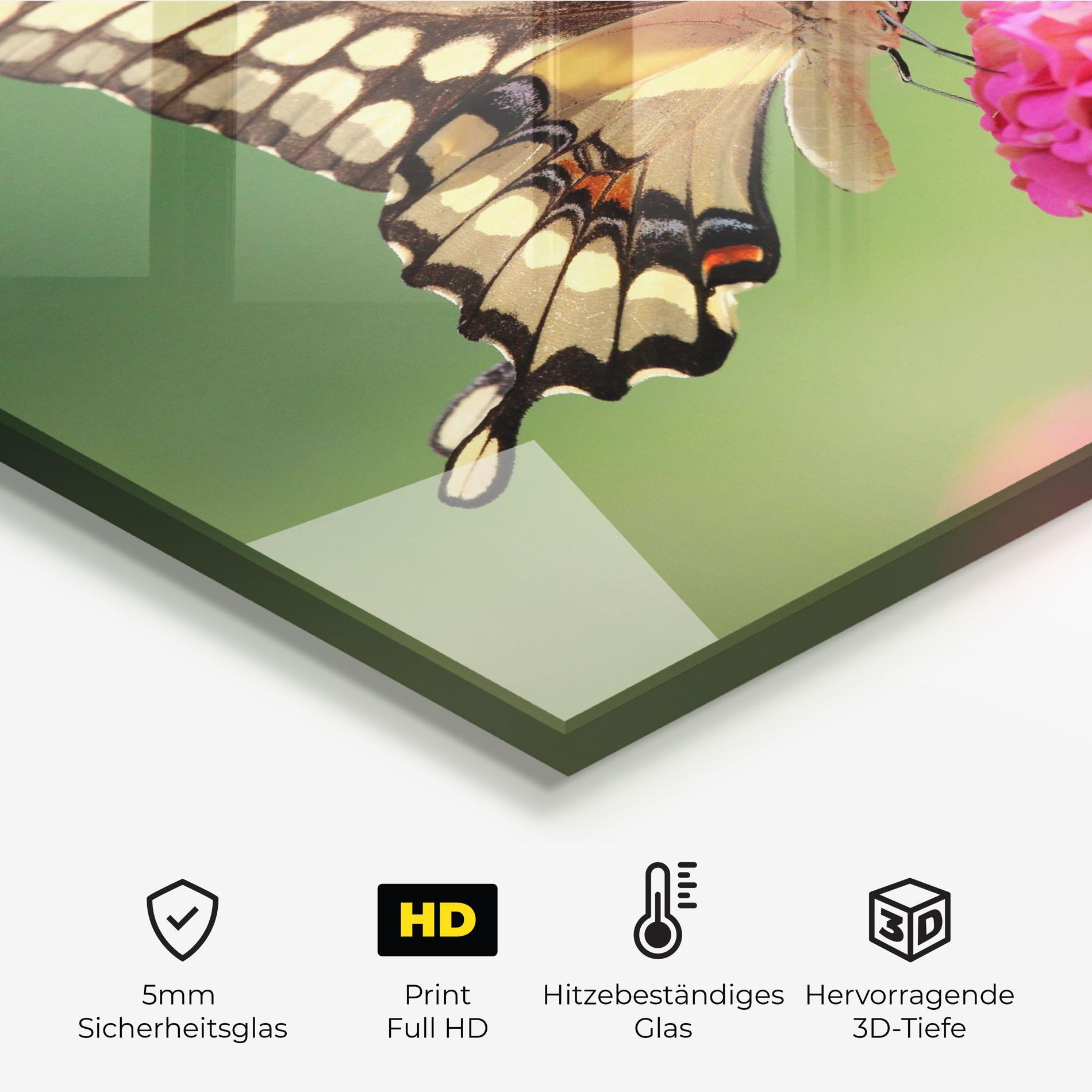 Küchenrückwand Glas Cute Cream Butterfly mockup 2