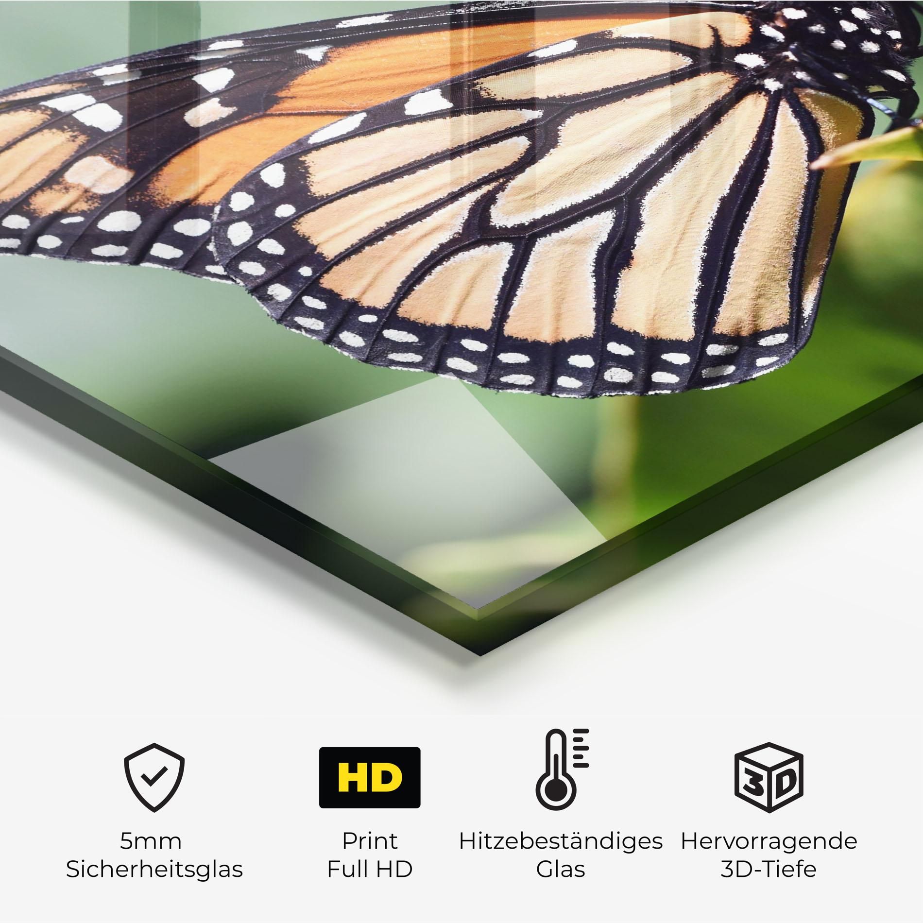 Light Orange Butterfly mockup 2