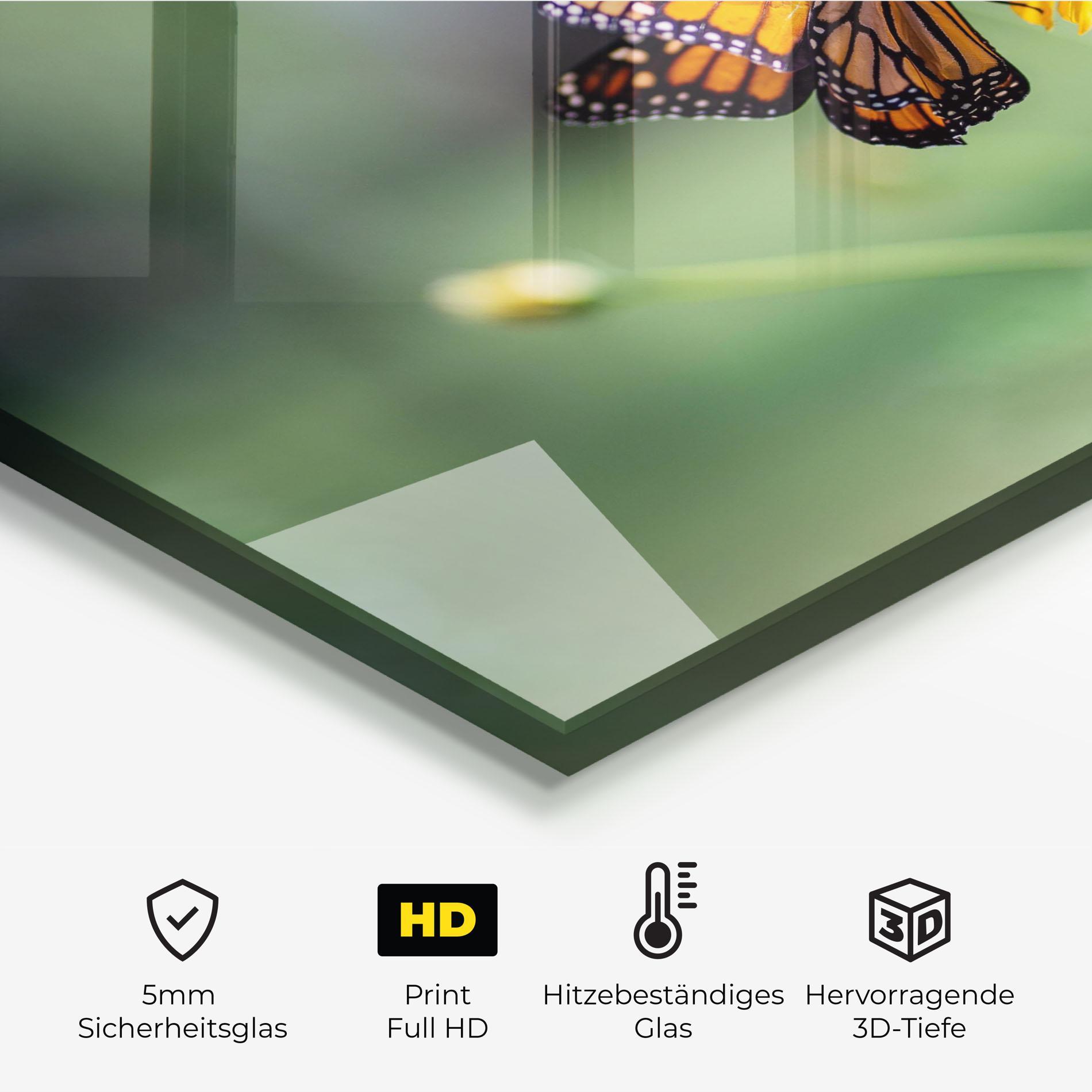 Küchenrückwand Glas Nice Orange Butterfly mockup 2