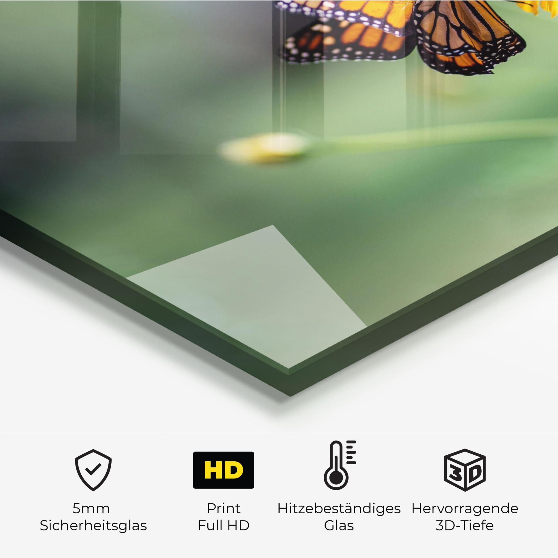 Nice Orange Butterfly mockup 2