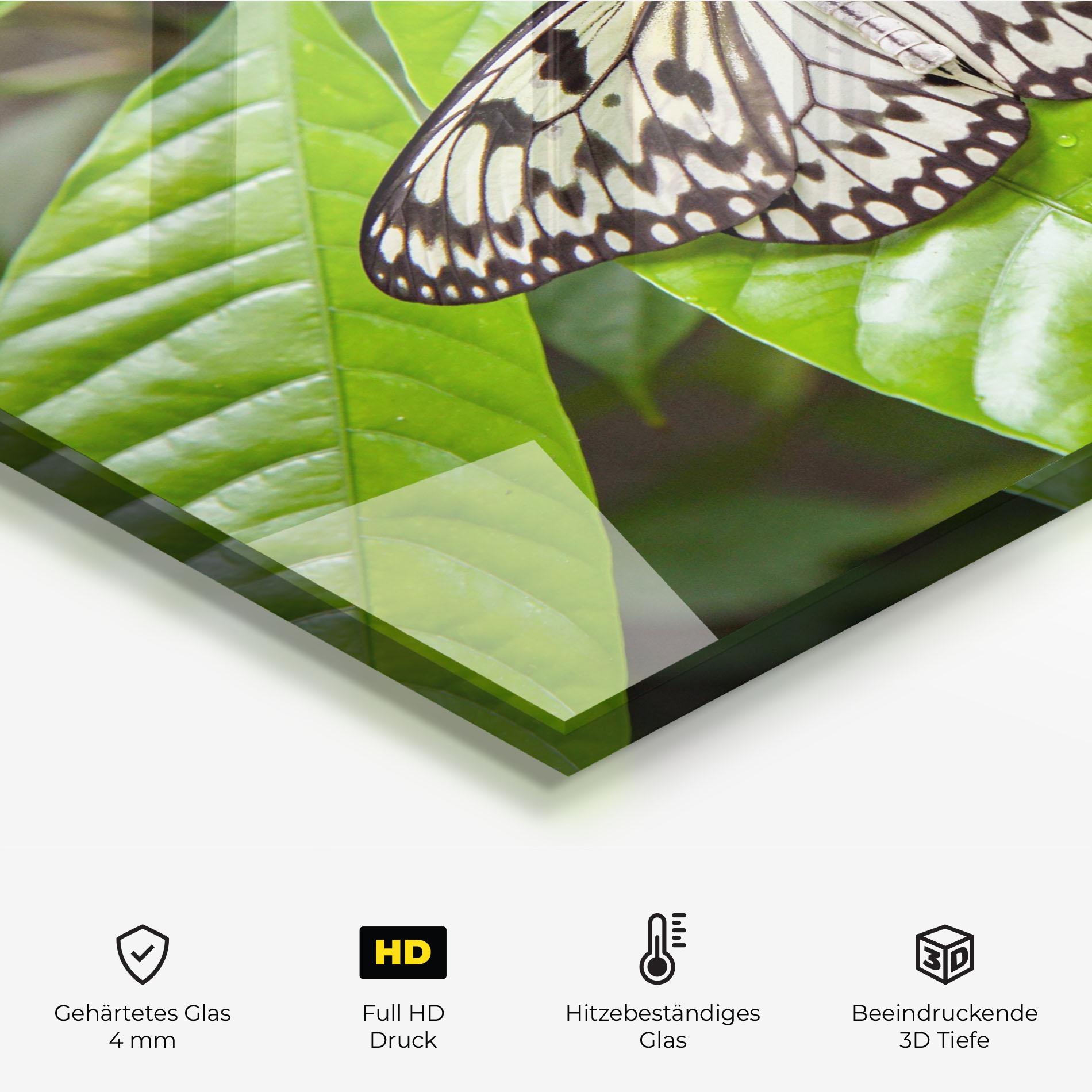 Küchenrückwand Glas Beautiful White Butterfly mockup 2