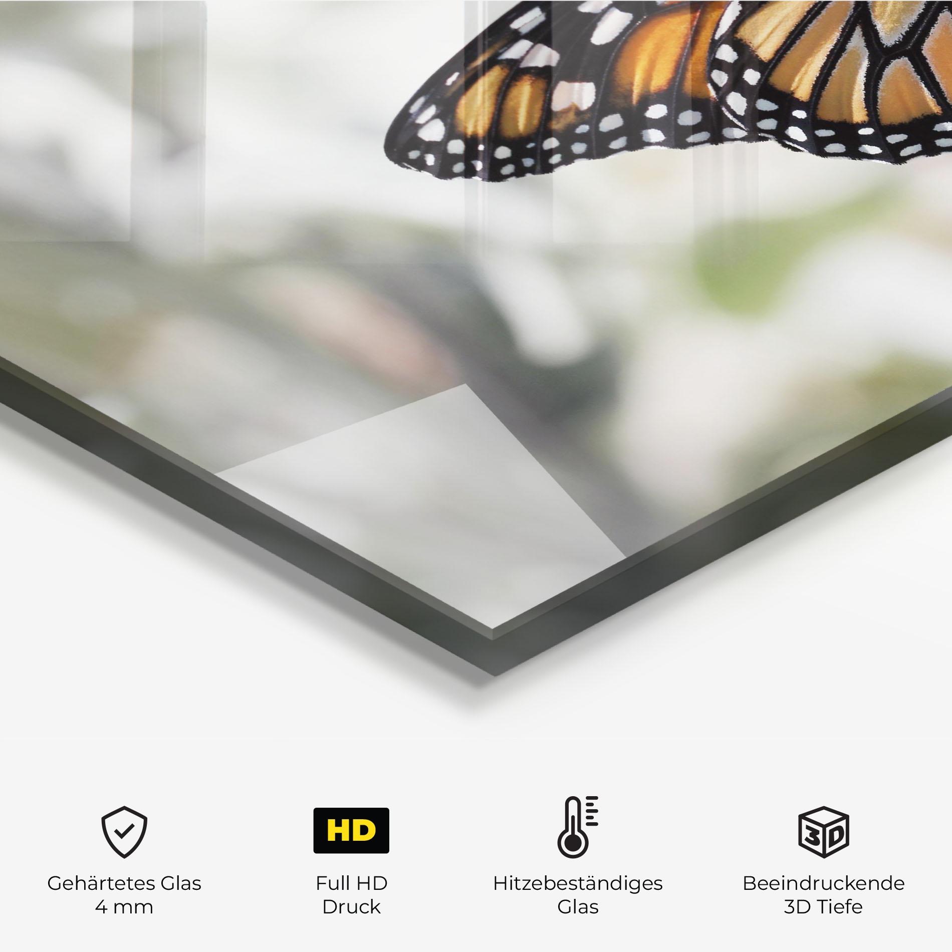 Küchenrückwand Glas Beauty Butterfly mockup 2