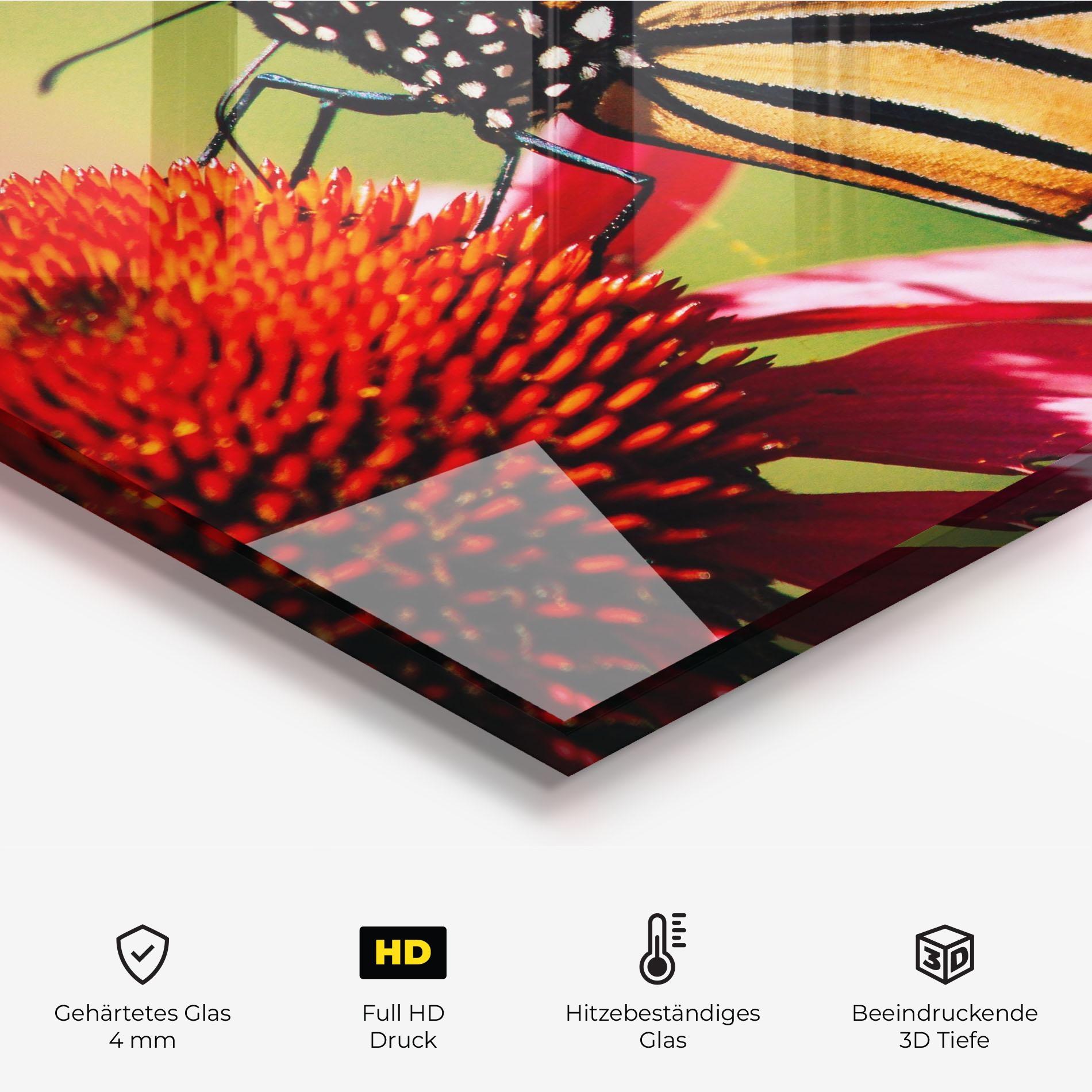 Küchenrückwand Glas Big Orange Butterfly mockup 2