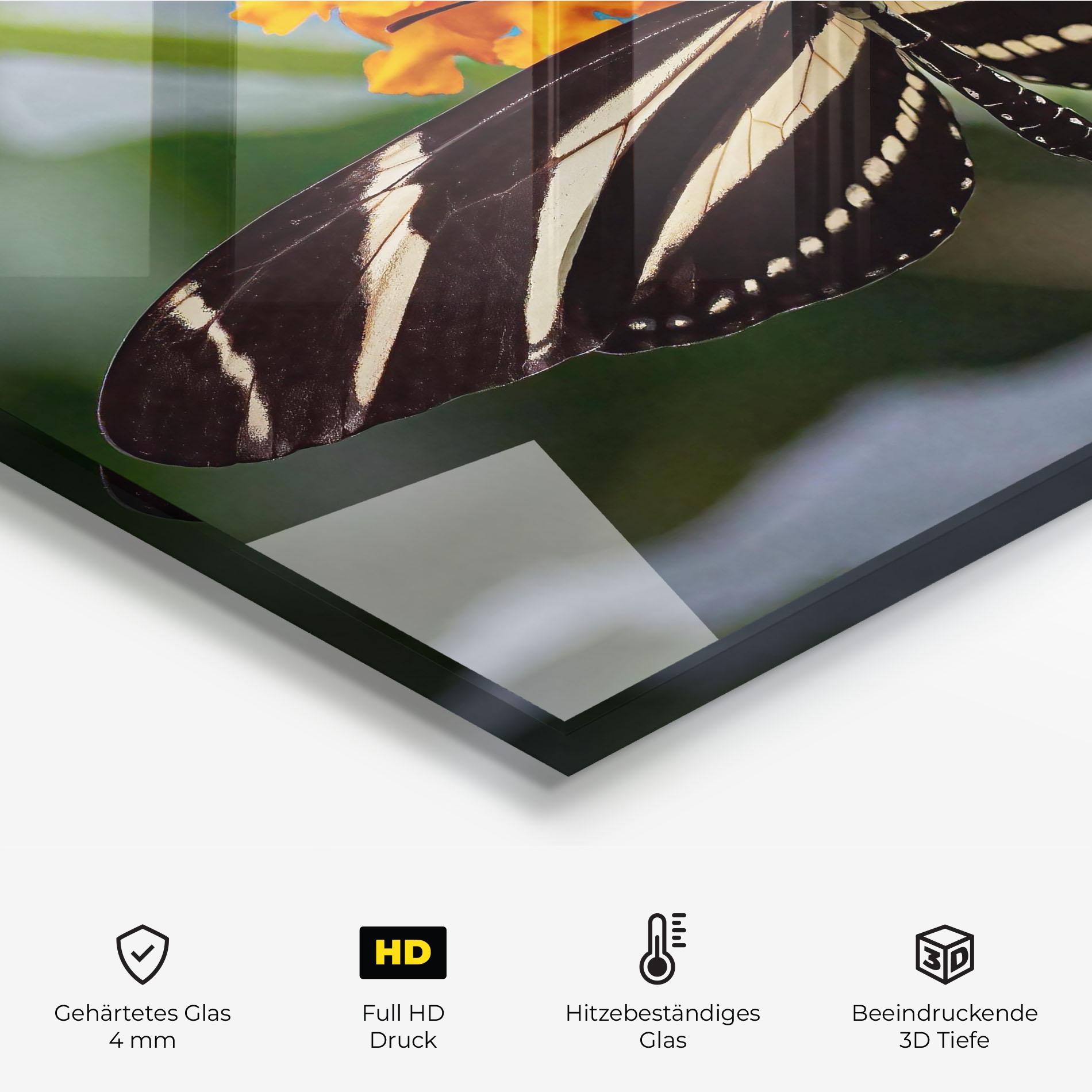 Küchenrückwand Glas Big Wings Butterfly mockup 2